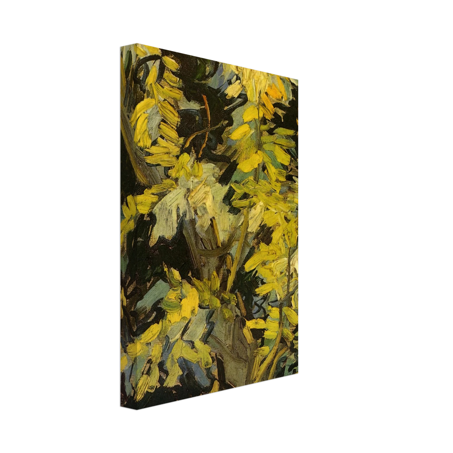 Vincent van Gogh - Blossoming Acacia Branches Canvas - 40x60 cm / 16x24 inches-canvas