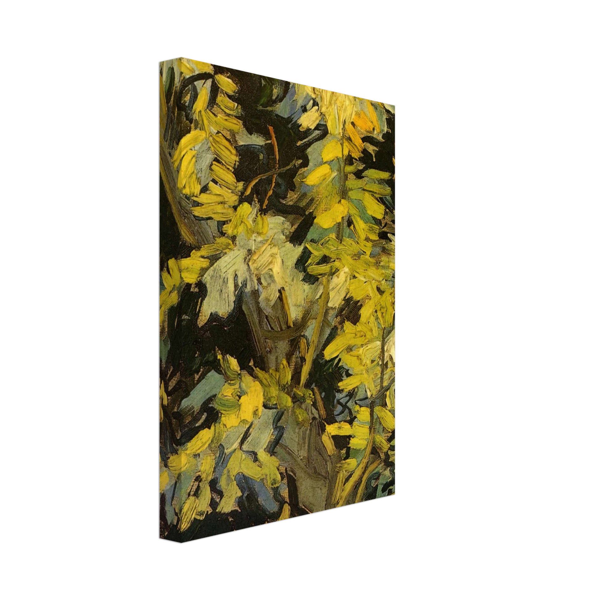 Vincent van Gogh - Blossoming Acacia Branches Canvas - 40x60 cm / 16x24 inches-canvas