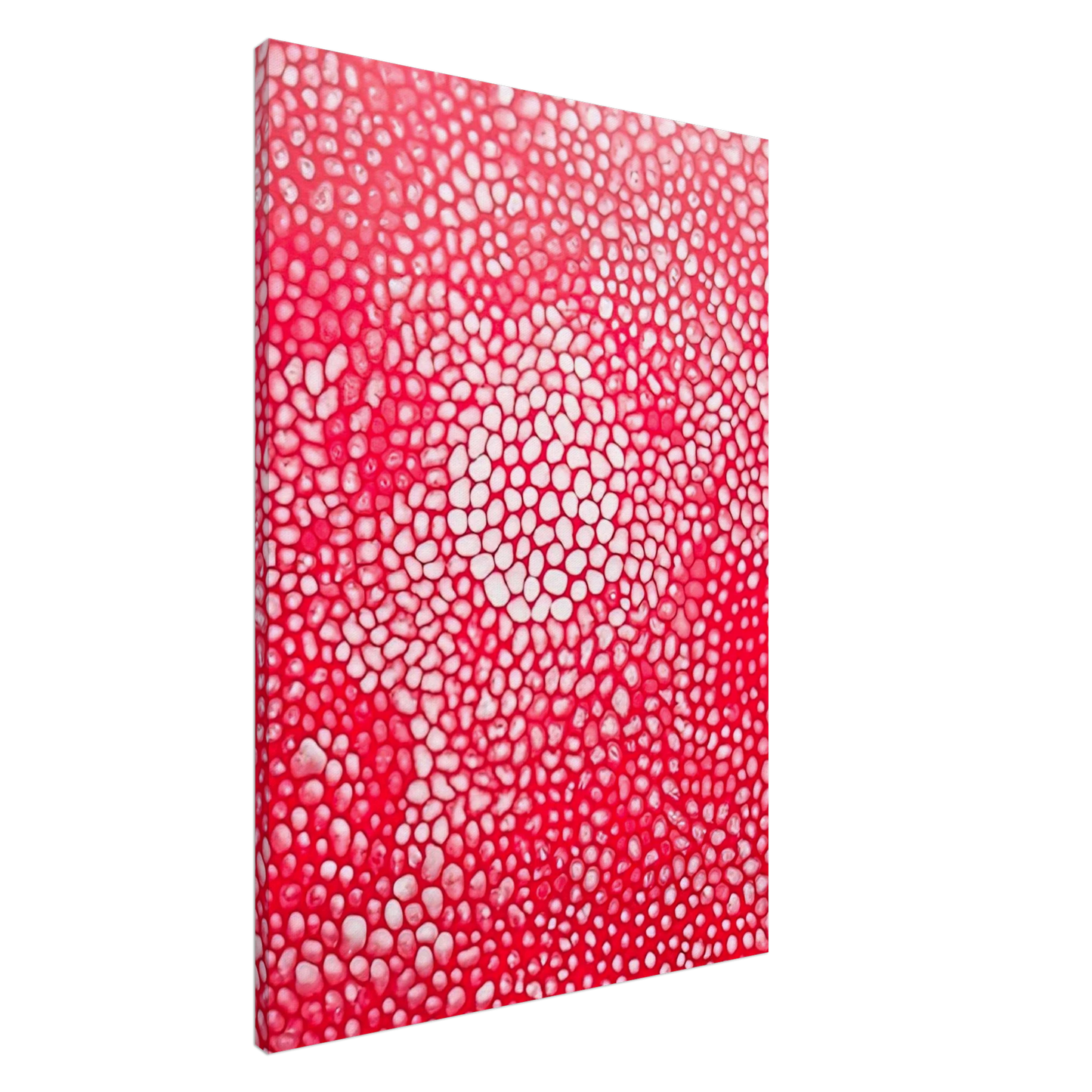 Yayoi Kusama - SUNLIGHT 1998 Canvas - 20x30 cm / 8x12 inches-canvas