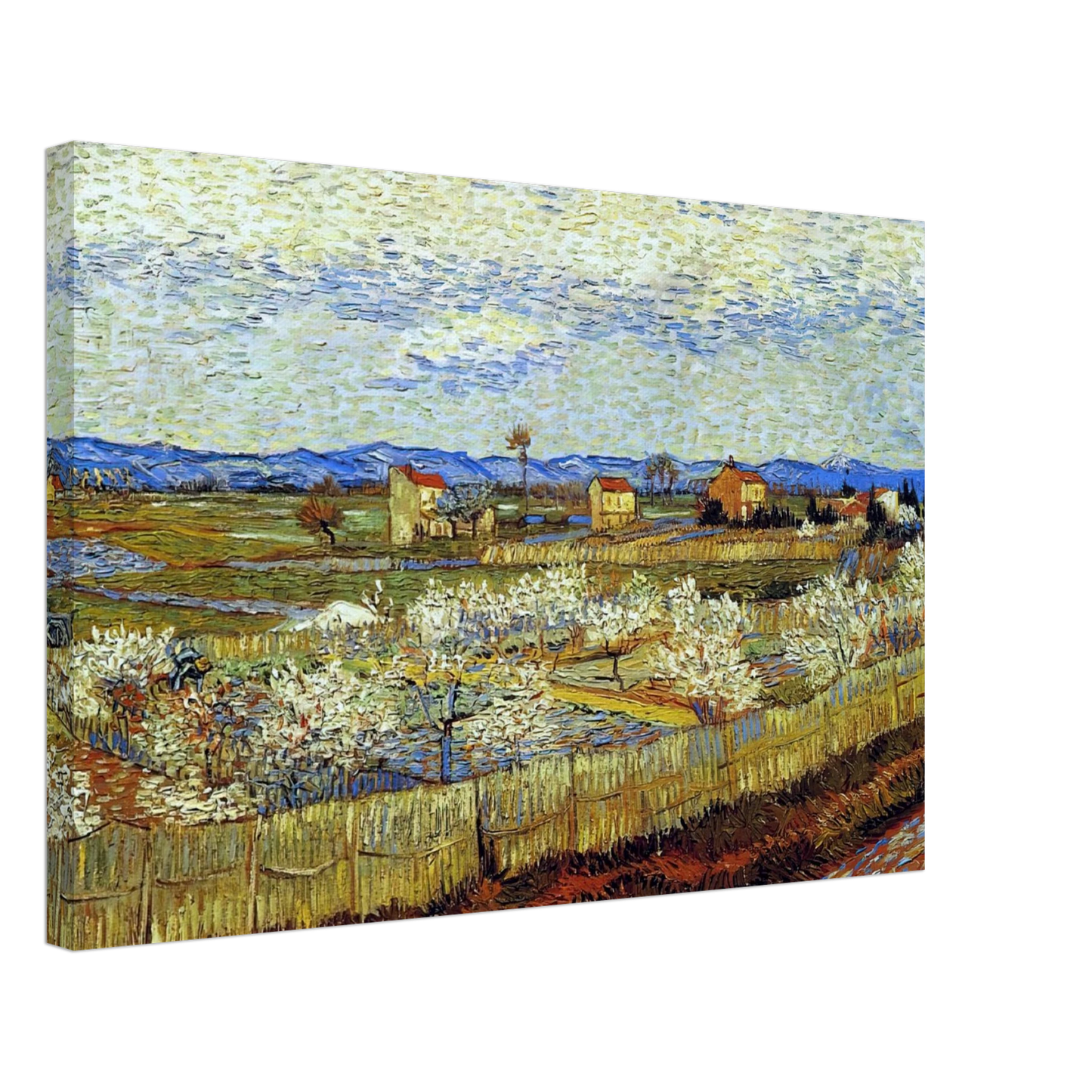 Vincent van Gogh - Peach Trees in Blossom Canvas - 70x100 cm / 28x40 inches-canvas