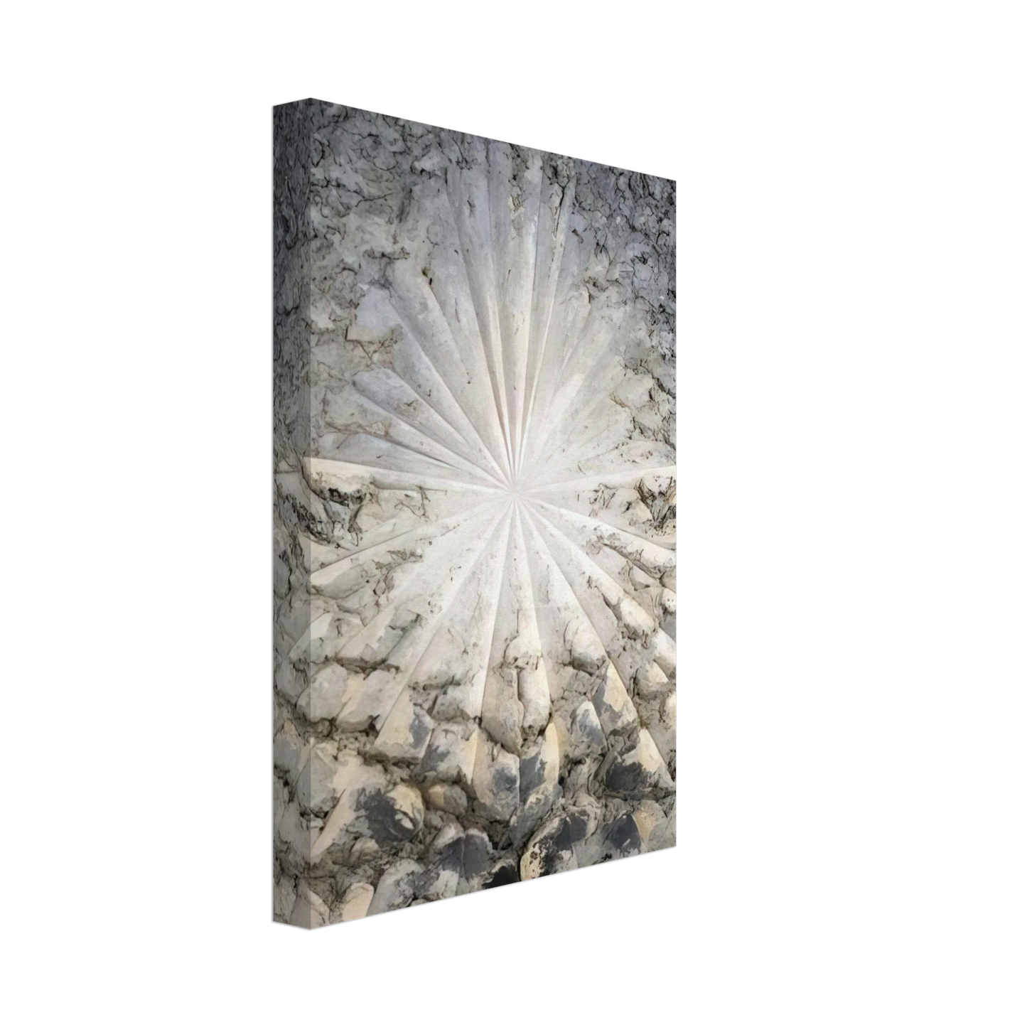 Jay DeFeo - Jay DeFeo/BIG/The Rose Canvas - 40x60 cm / 16x24 inches-canvas