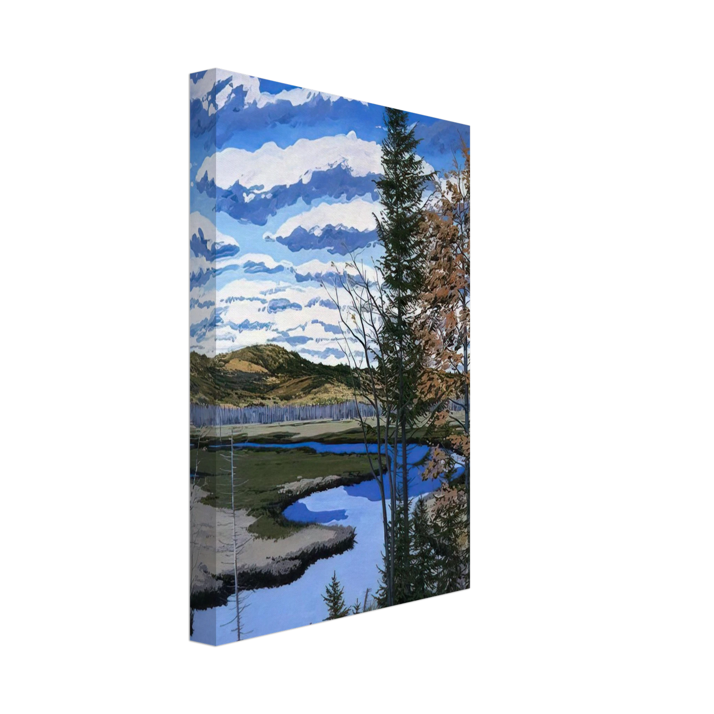 Neil Welliver - Shadow on Brigg's Meadow - 1981 Canvas - 40x60 cm / 16x24 inches-canvas