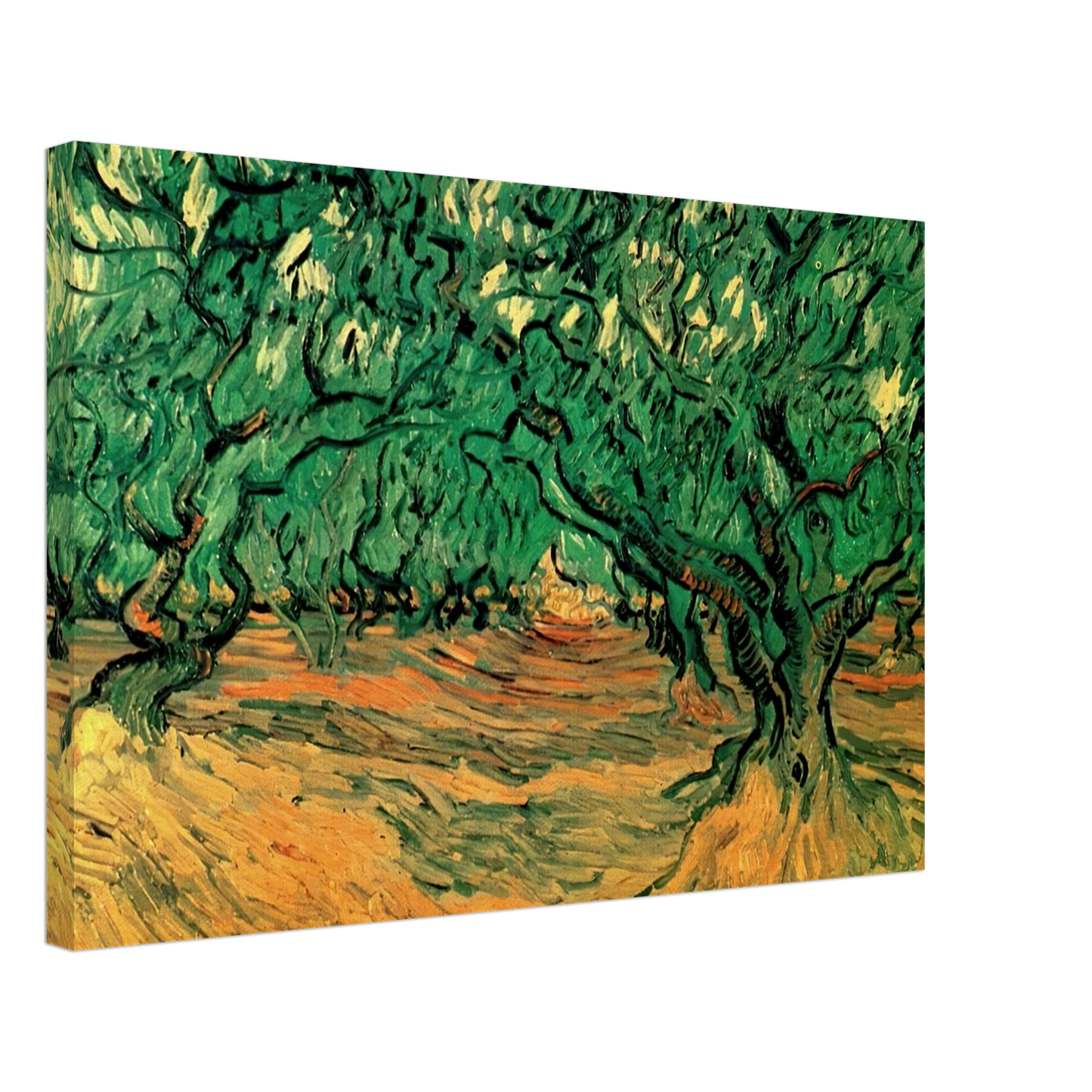 Vincent van Gogh - Olive Trees Canvas - 70x100 cm / 28x40 inches-canvas