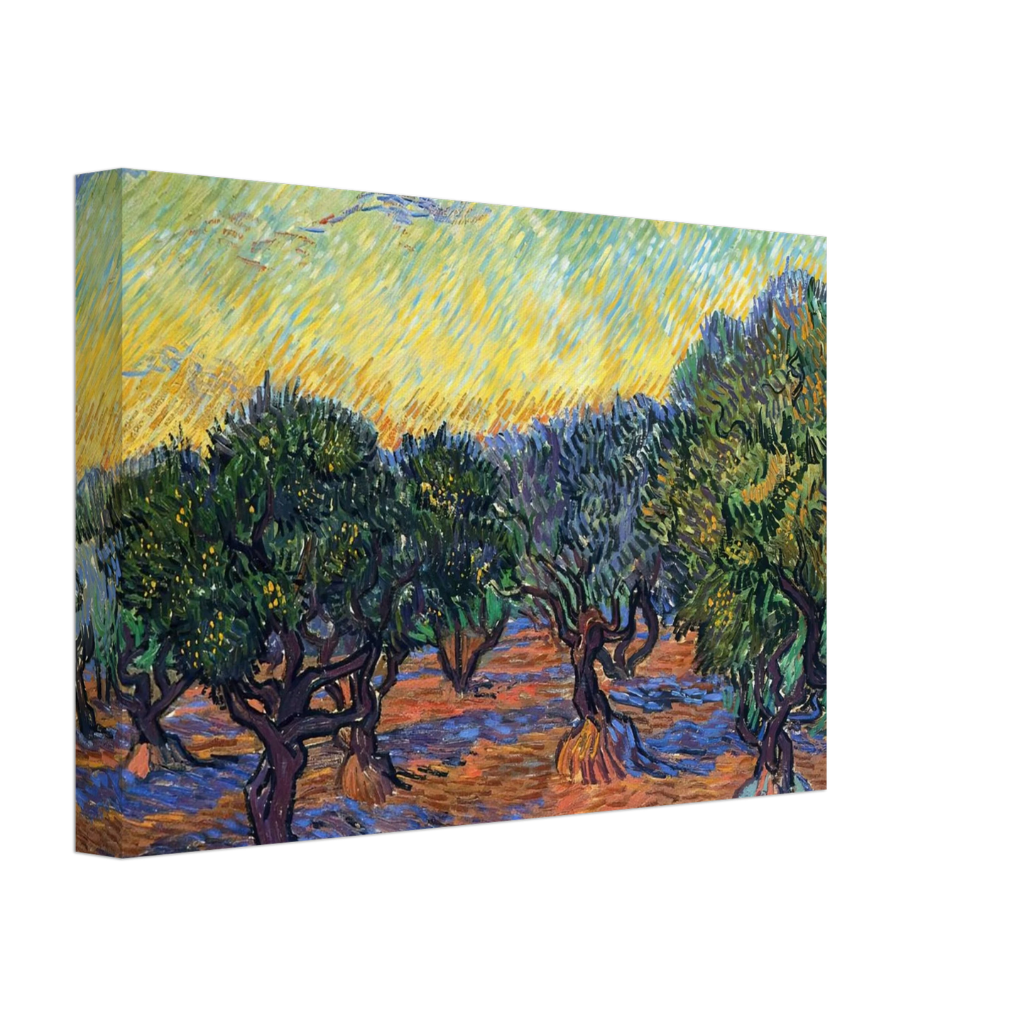 Vincent van Gogh - Olive Grove - Orange Sky Canvas - 40x60 cm / 16x24 inches-canvas