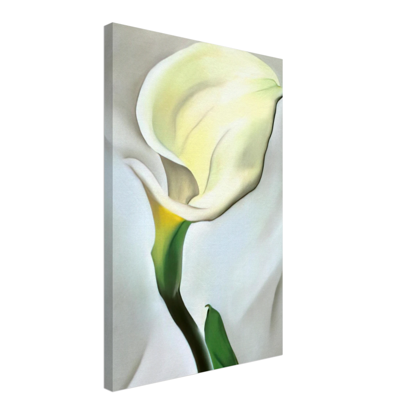 Georgia O'Keeffe - Calla Lily Turned Away Canvas - 70x100 cm / 28x40 inches-canvas