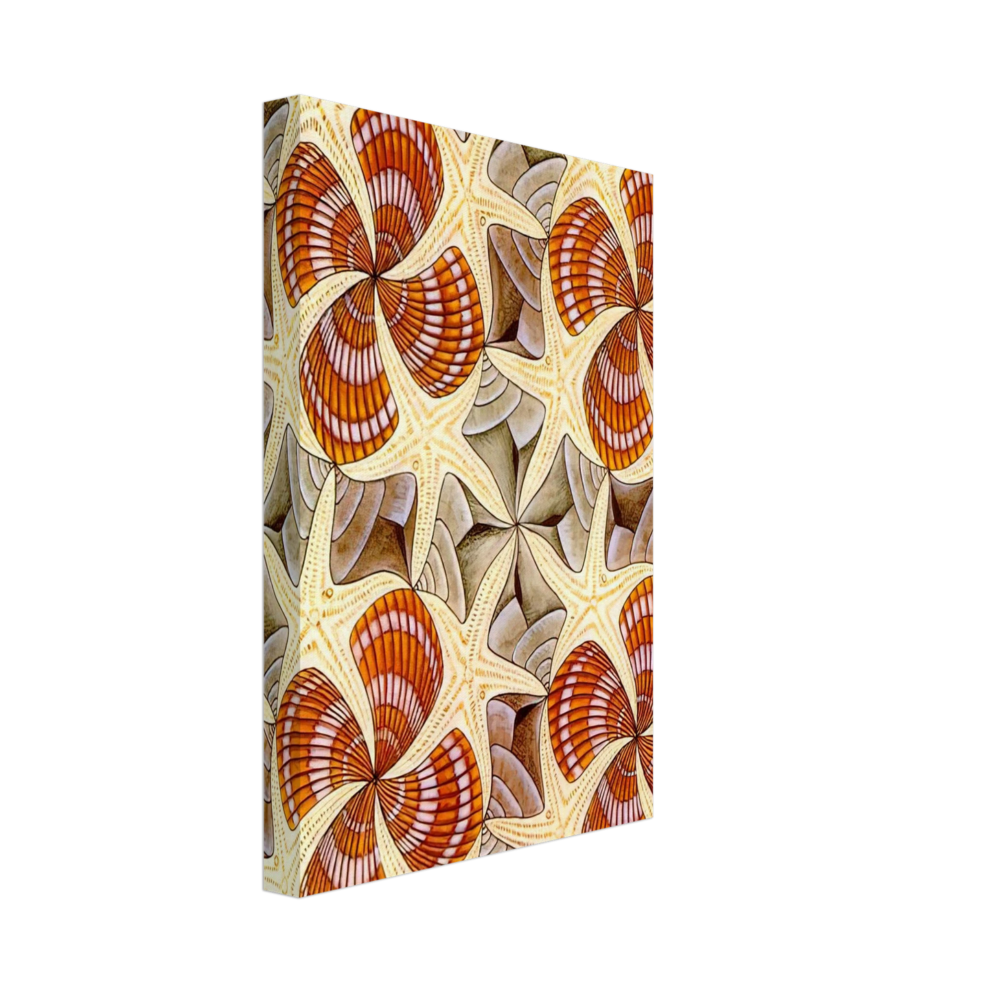 MC Escher - SHELLS AND STARFISH Canvas - 70x100 cm / 28x40 inches-canvas