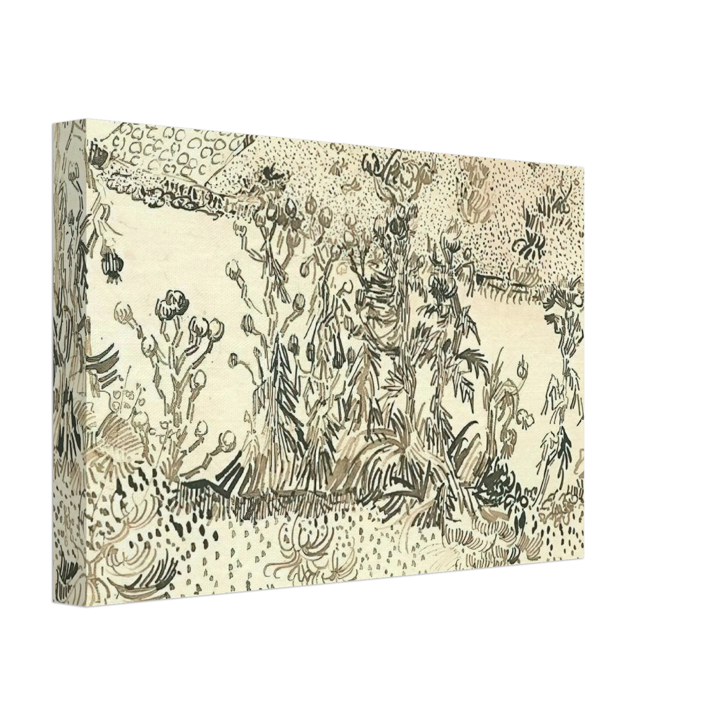 Vincent van Gogh - Thistles Along the Roadside Canvas - 40x60 cm / 16x24 inches-canvas