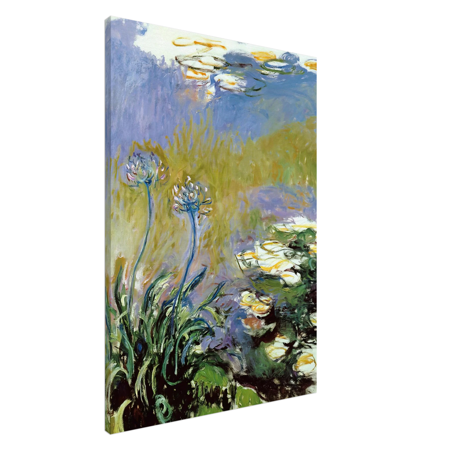 claude monet - Agapanthus Canvas - 20x30 cm / 8x12 inches-canvas