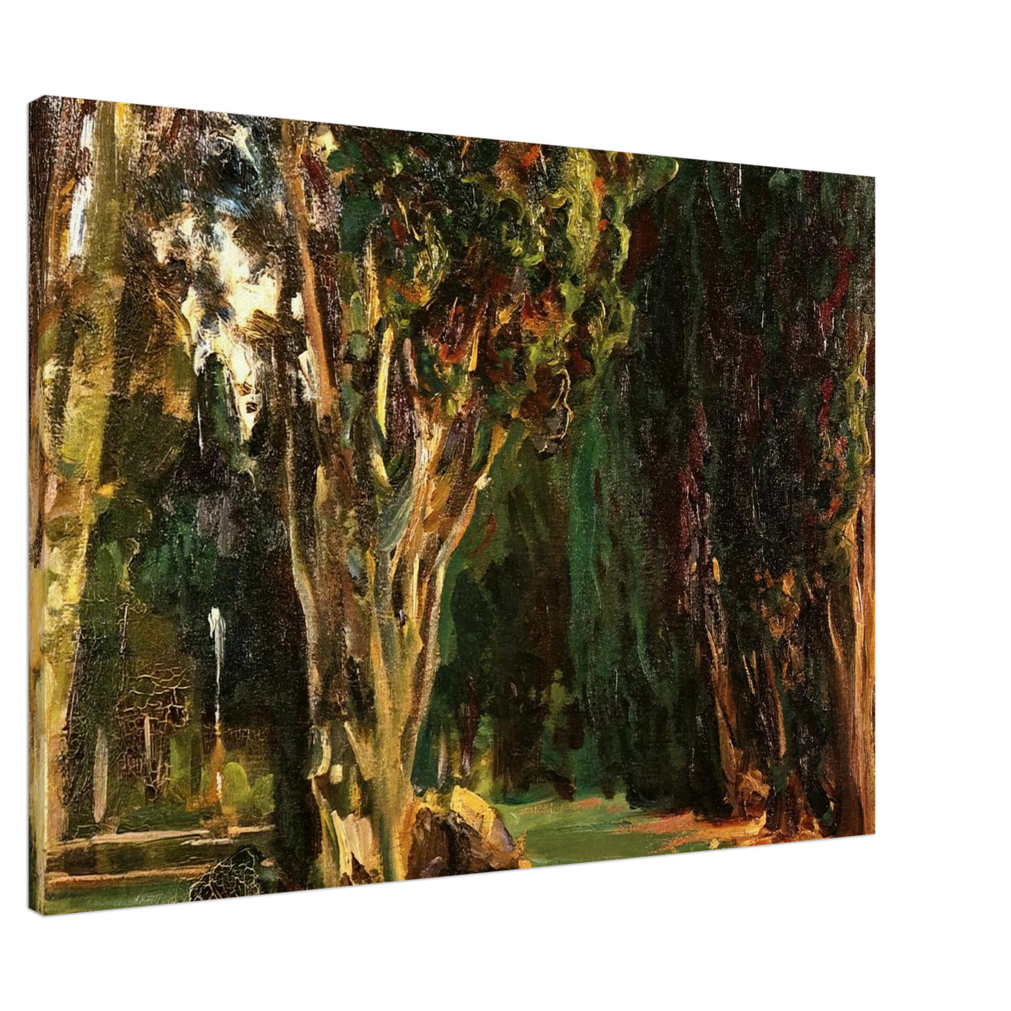 John Singer Sargent - Falconieri Gardens, Frascati Canvas - 20x30 cm / 8x12 inches-canvas