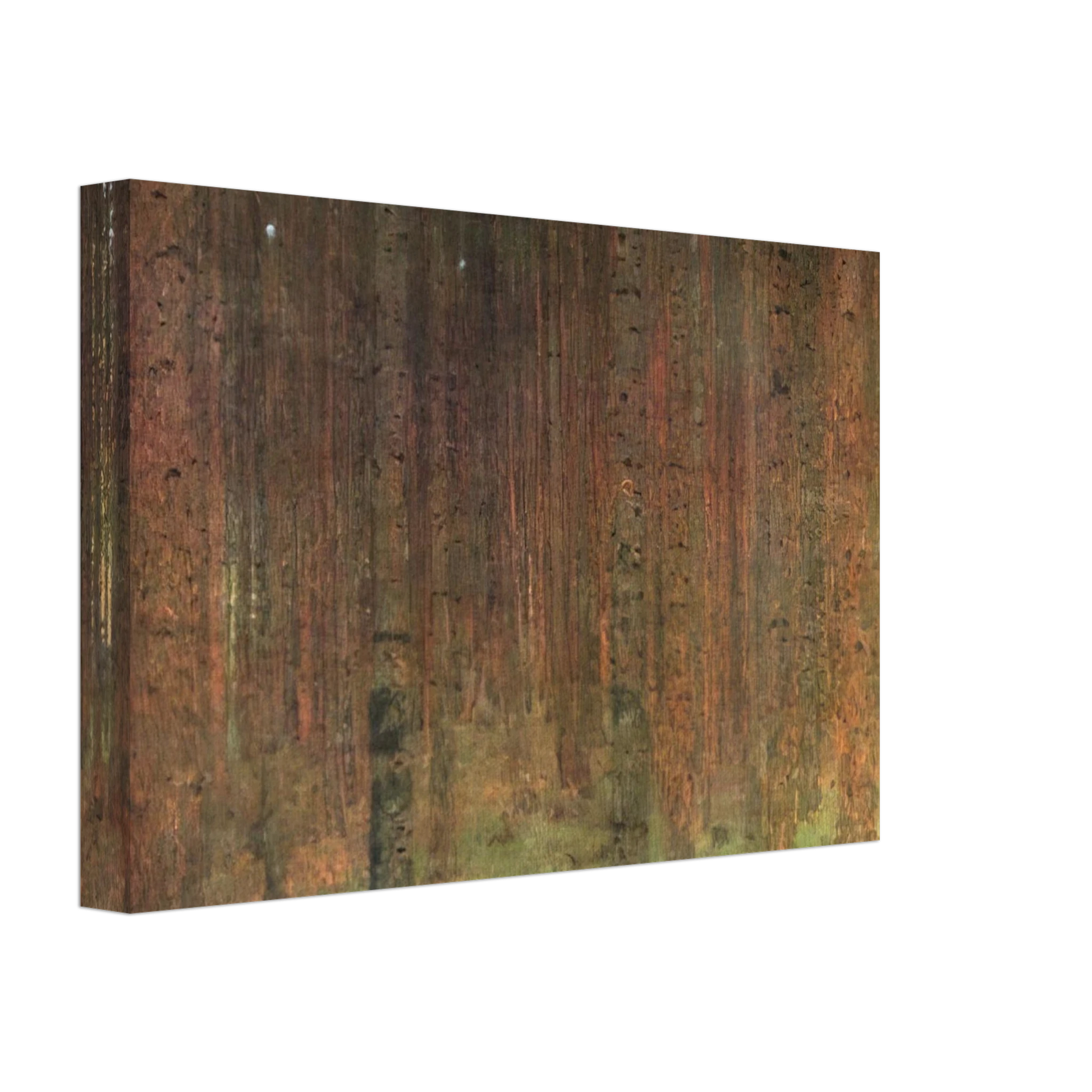 Gustav Klimt - PINE FOREST II Canvas - 40x60 cm / 16x24 inches-canvas