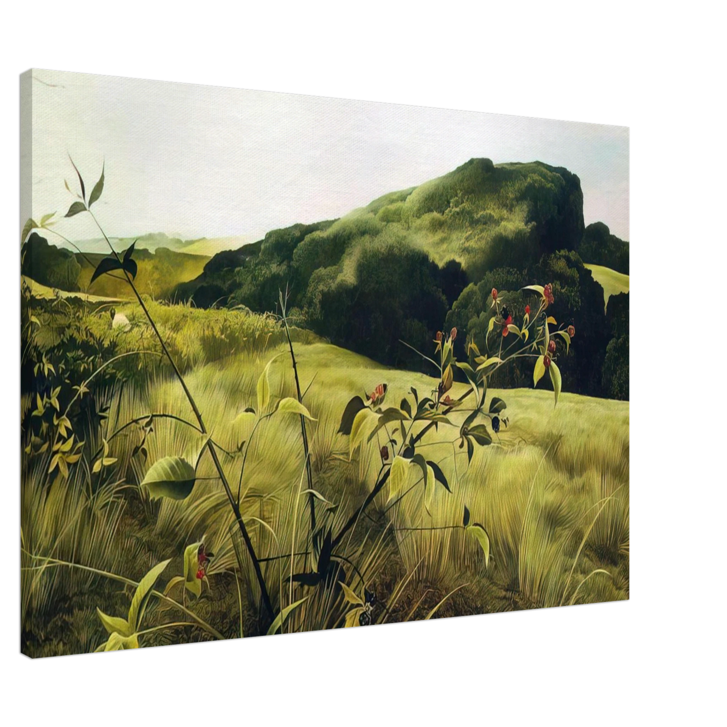 Andrew Wyeth - BLACKBERRY PICKER Canvas - 20x30 cm / 8x12 inches-canvas