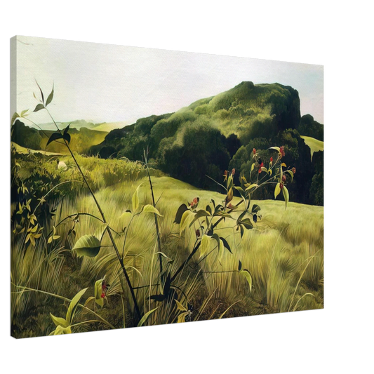 Andrew Wyeth - BLACKBERRY PICKER Canvas - 20x30 cm / 8x12 inches-canvas