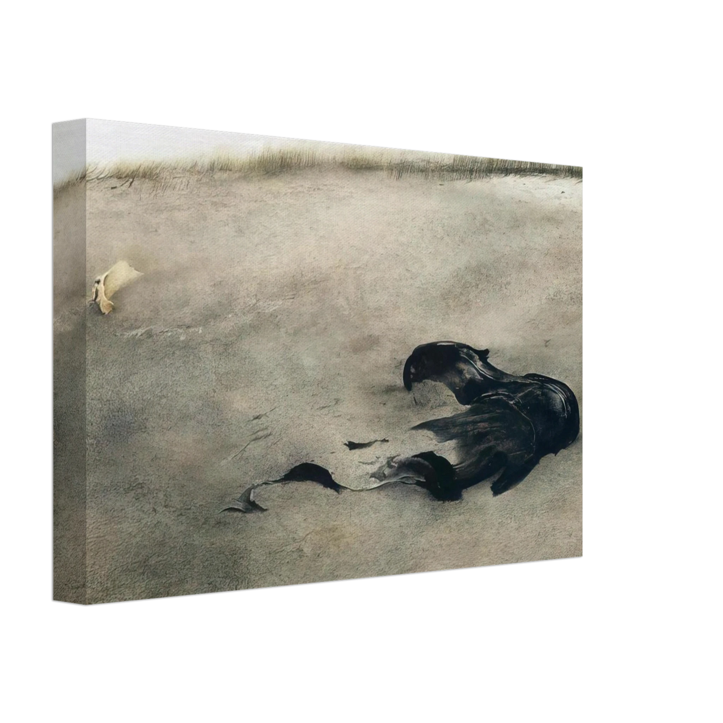 Andrew Wyeth - NOT DETECTED 37 Canvas - 40x60 cm / 16x24 inches-canvas