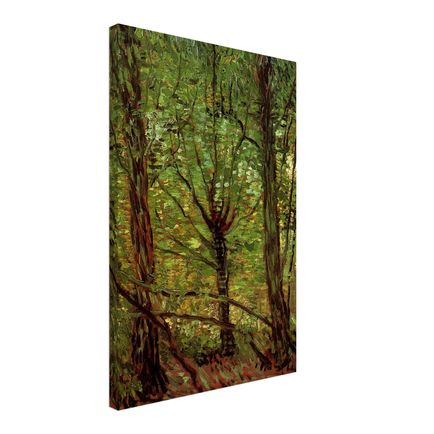 Vincent van Gogh - Trees and Undergrowth Canvas - 70x100 cm / 28x40 inches-canvas