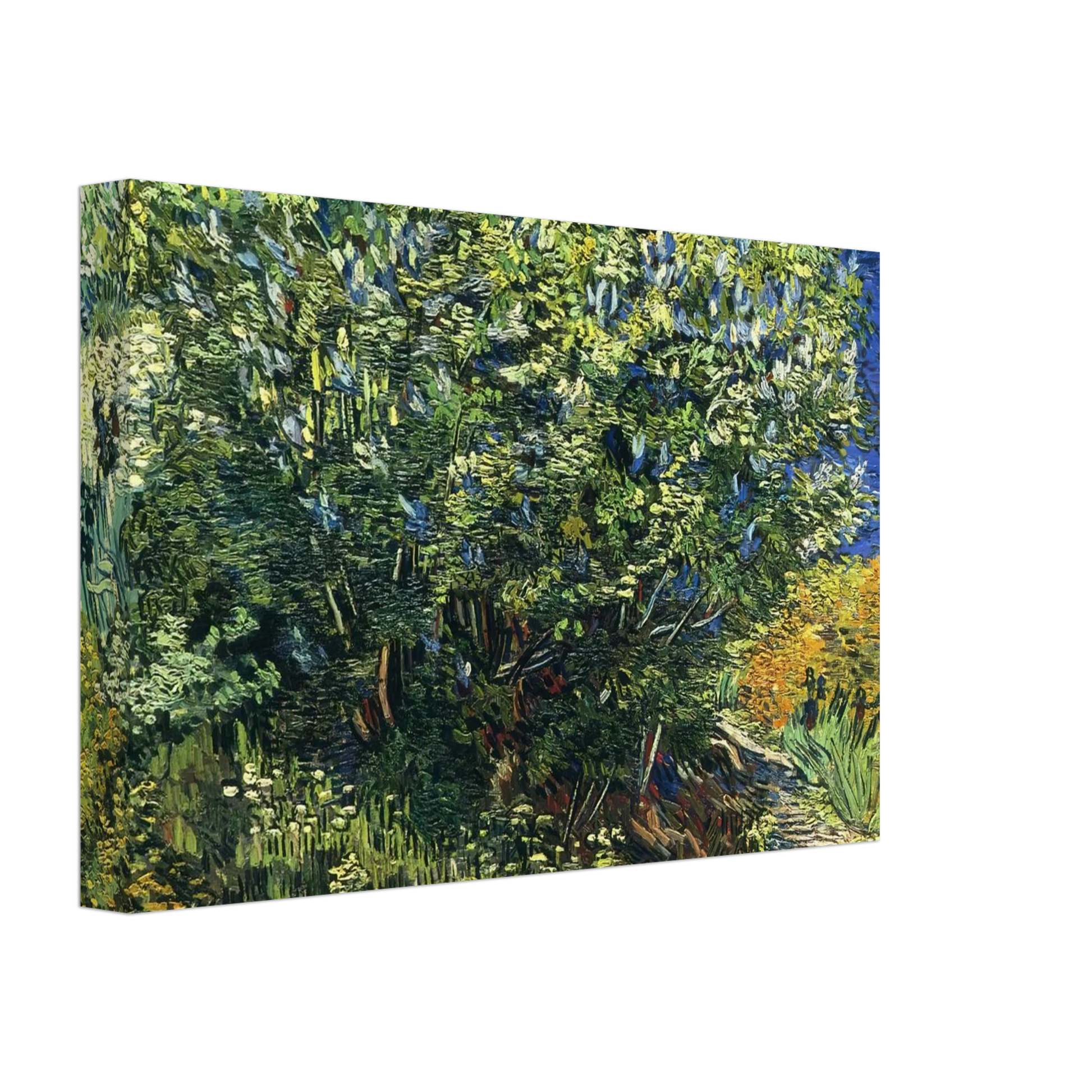 Vincent van Gogh - Lilac Bush Canvas - 40x60 cm / 16x24 inches-canvas