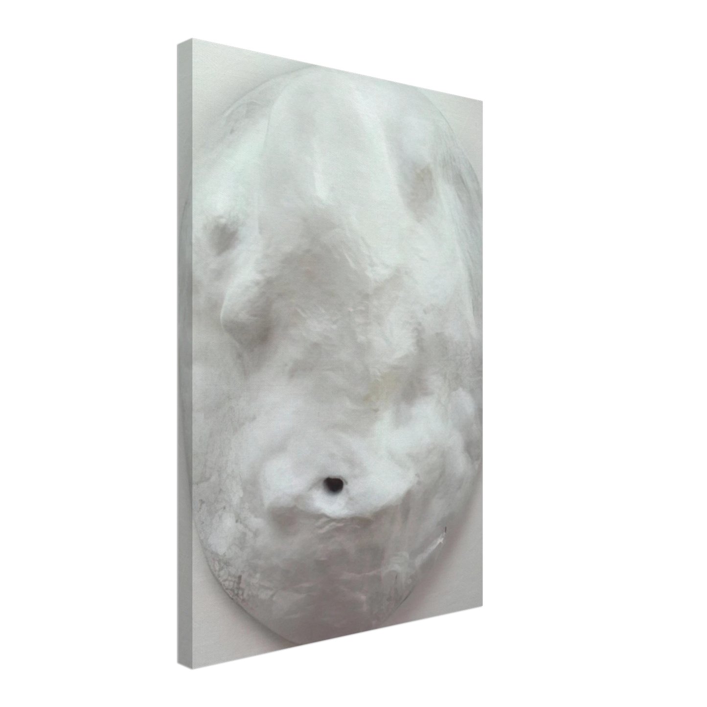 Louise Bourgeois - AMOEBA 1965 Canvas - 70x100 cm / 28x40 inches-canvas