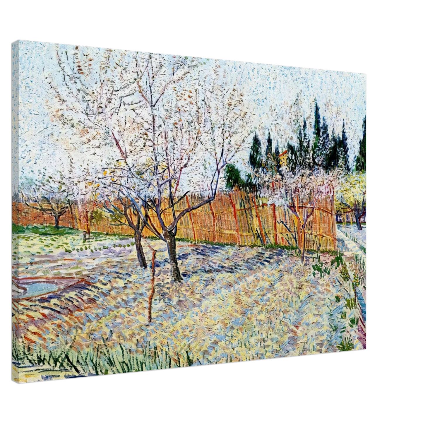 Vincent van Gogh - Orchard with Peach Trees in Blossom Canvas - 20x30 cm / 8x12 inches-canvas