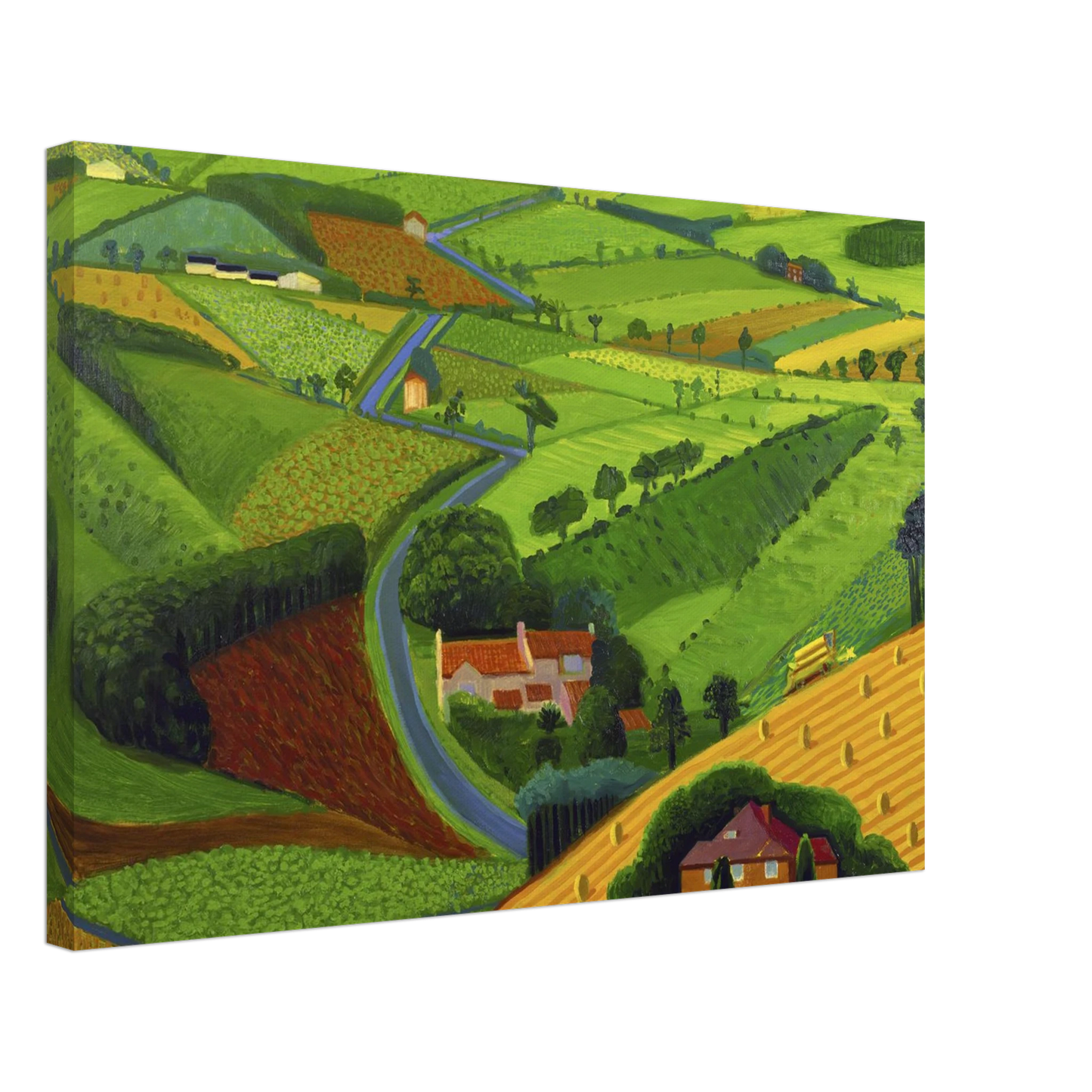 David Hockney - David Hockney Canvas - 40x60 cm / 16x24 inches-canvas