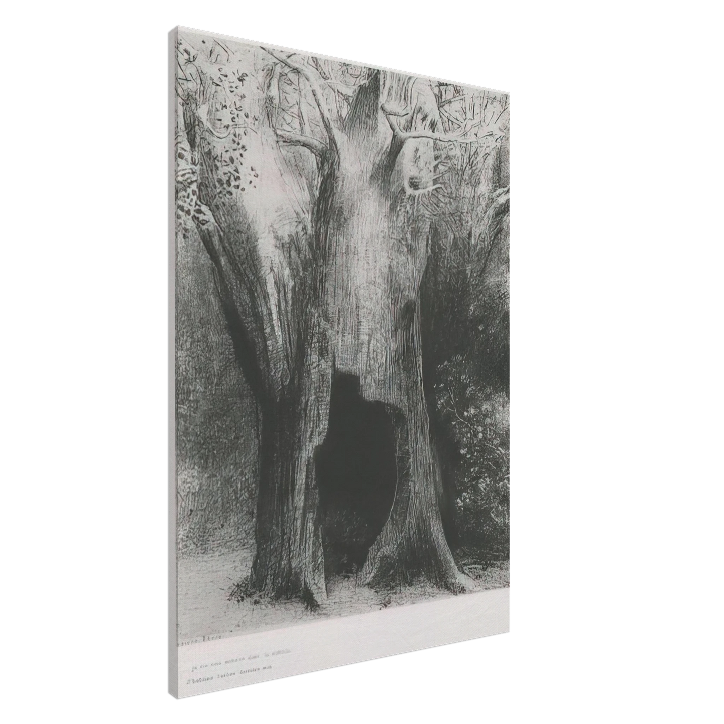 Odilon Redon - I PLUNGED INTO SOLITUDE I DWELT IN THE TREE BEHIND ME PLATE 9 1896 Canvas - 20x30 cm / 8x12 inches-canvas