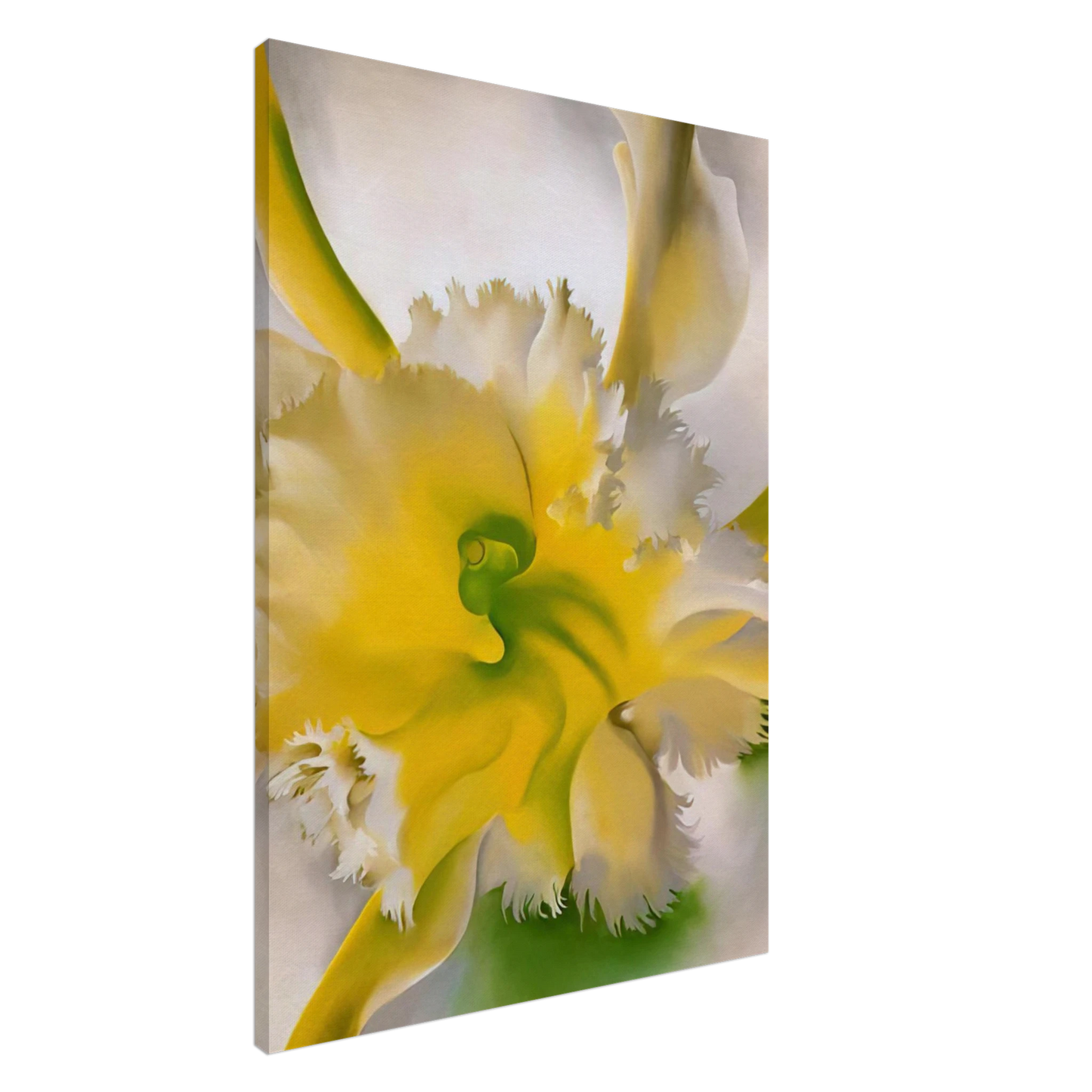 Georgia O'Keeffe - An Orchid Canvas - 20x30 cm / 8x12 inches-canvas