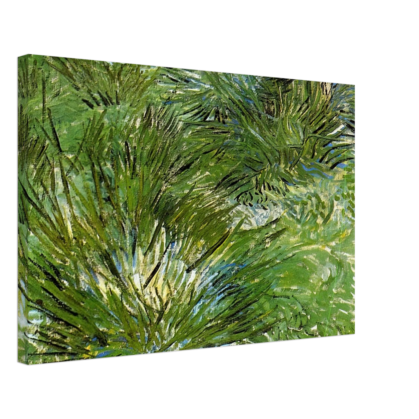 Vincent van Gogh - Clumps of Grass Canvas - 70x100 cm / 28x40 inches-canvas