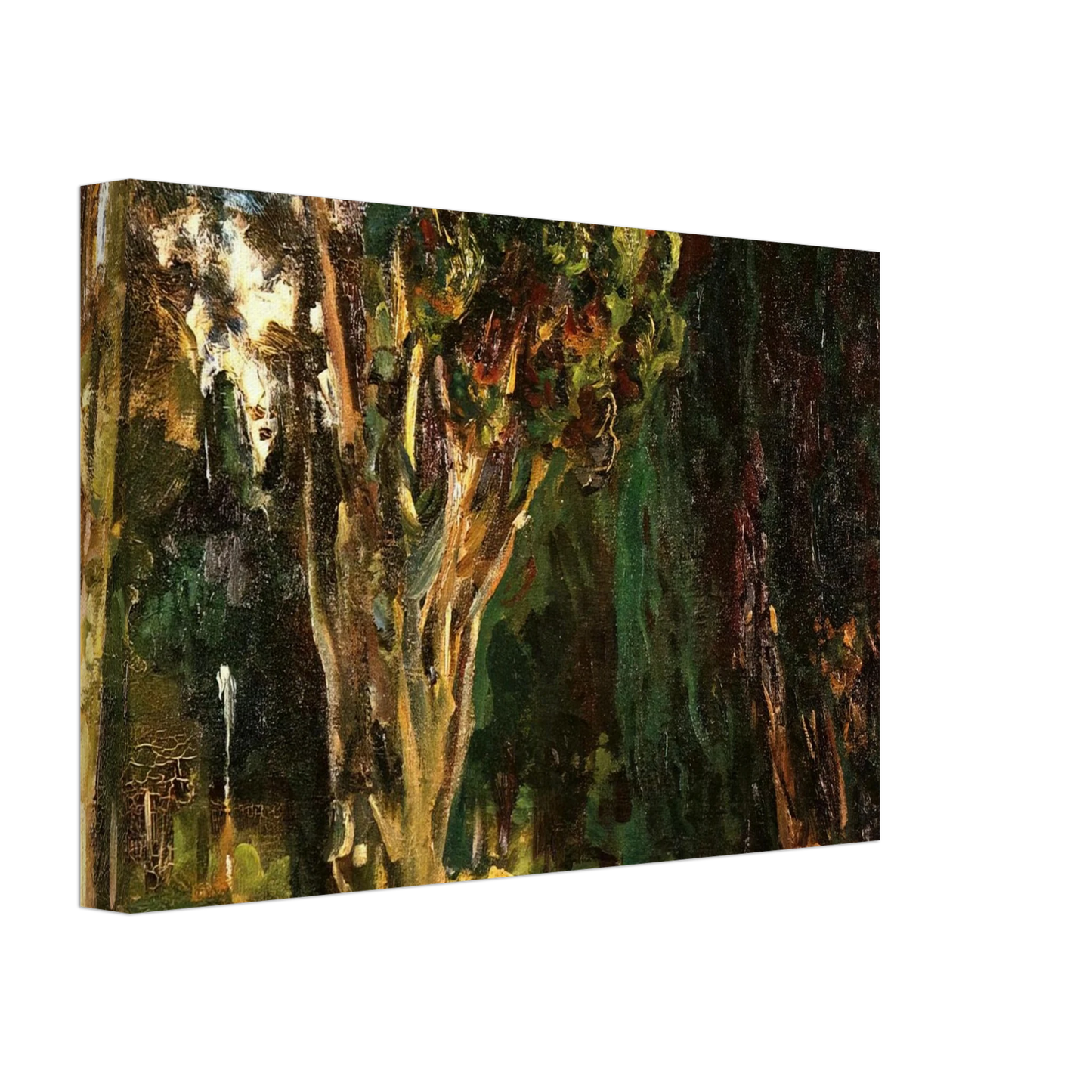 John Singer Sargent - Falconieri Gardens, Frascati Canvas - 70x100 cm / 28x40 inches-canvas