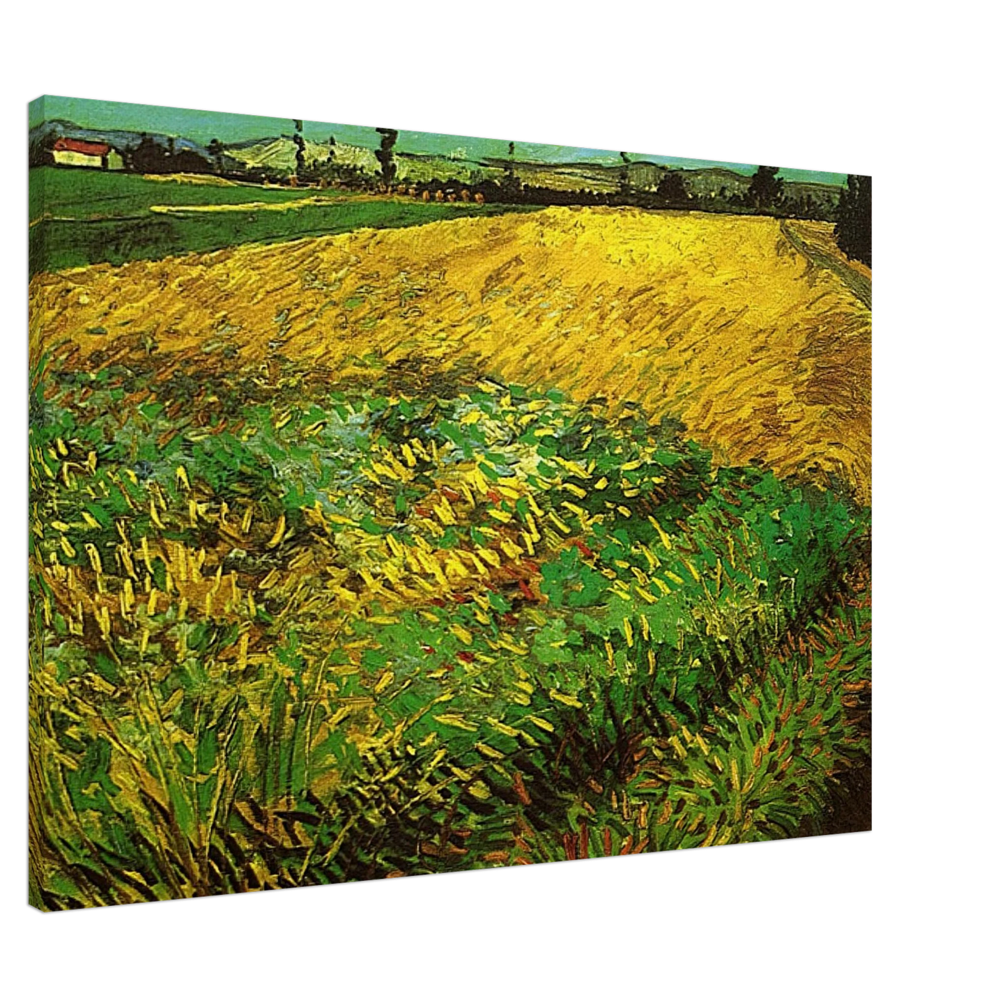 Vincent van Gogh - Wheat Field with the Alpilles Foothills in the Background Canvas - 20x30 cm / 8x12 inches-canvas