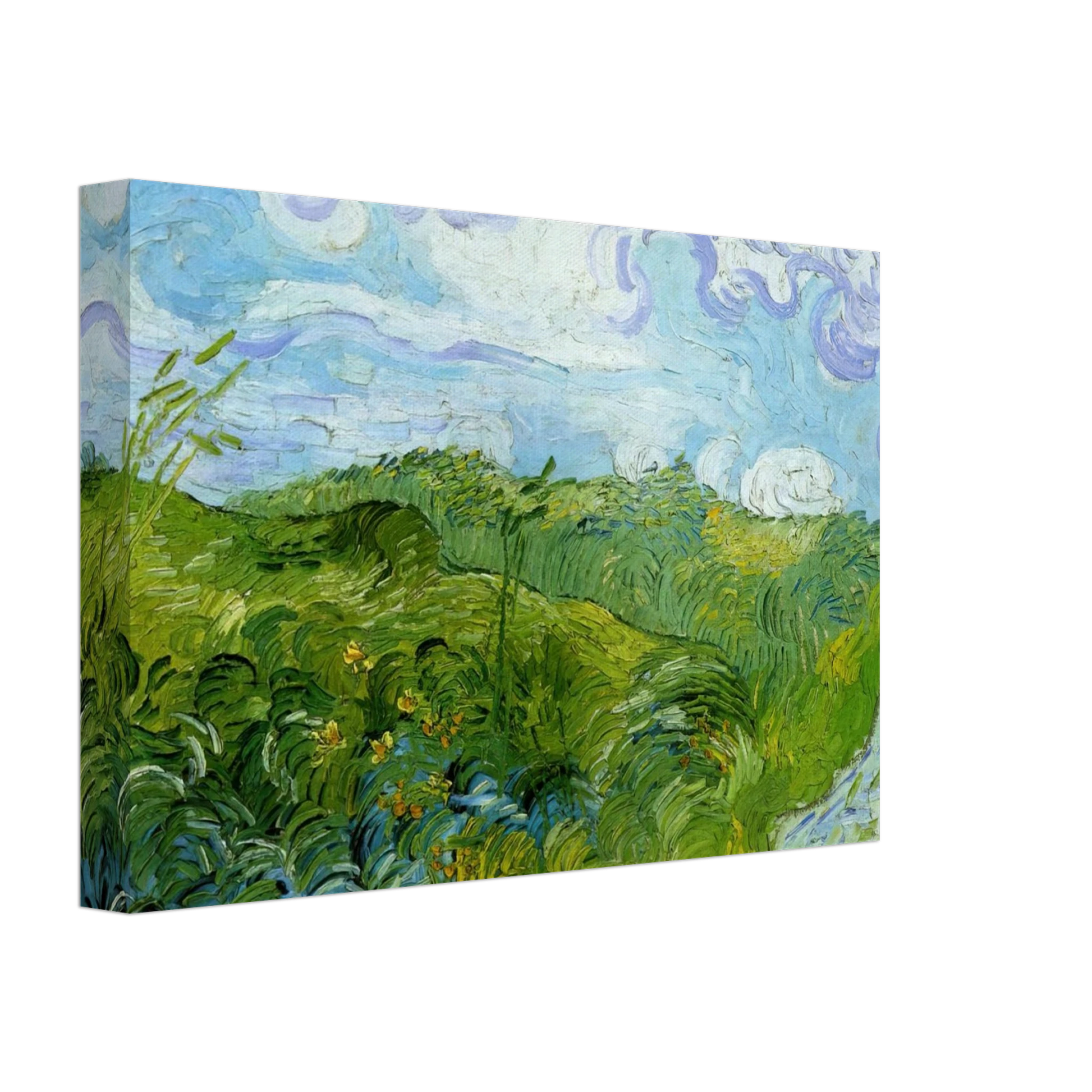 Vincent van Gogh - Green Wheat Fields Canvas - 70x100 cm / 28x40 inches-canvas