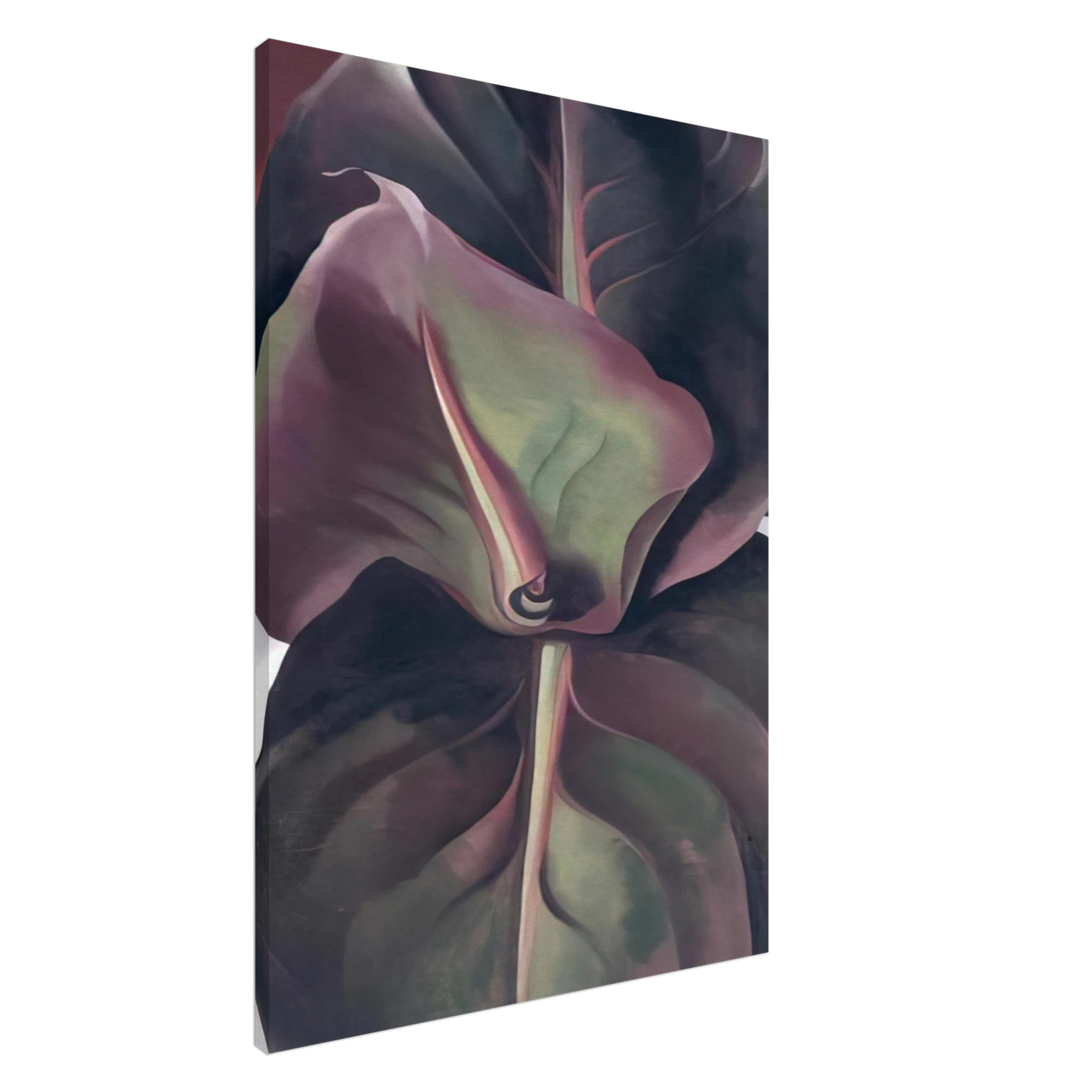 Georgia O'Keeffe - Canna Leaves Canvas - 20x30 cm / 8x12 inches-canvas