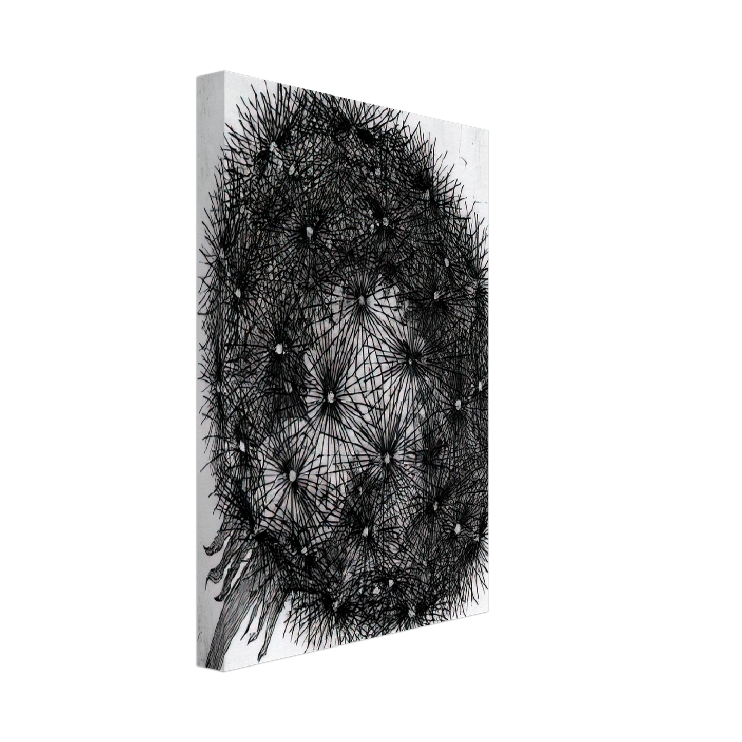 MC Escher - BLOWBALL I Canvas - 70x100 cm / 28x40 inches-canvas