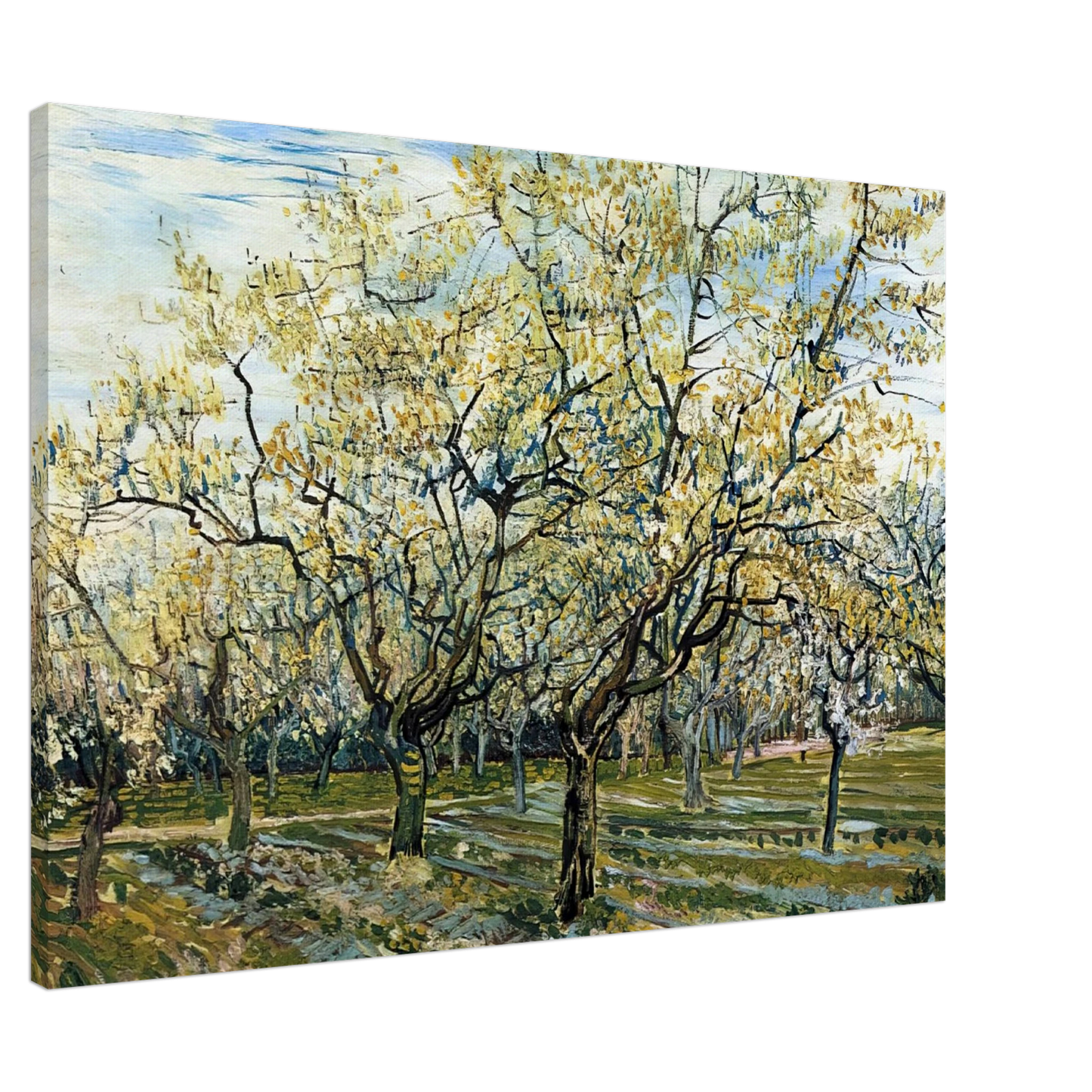 Vincent van Gogh - Orchard with Blossoming Plum Trees Canvas - 20x30 cm / 8x12 inches-canvas