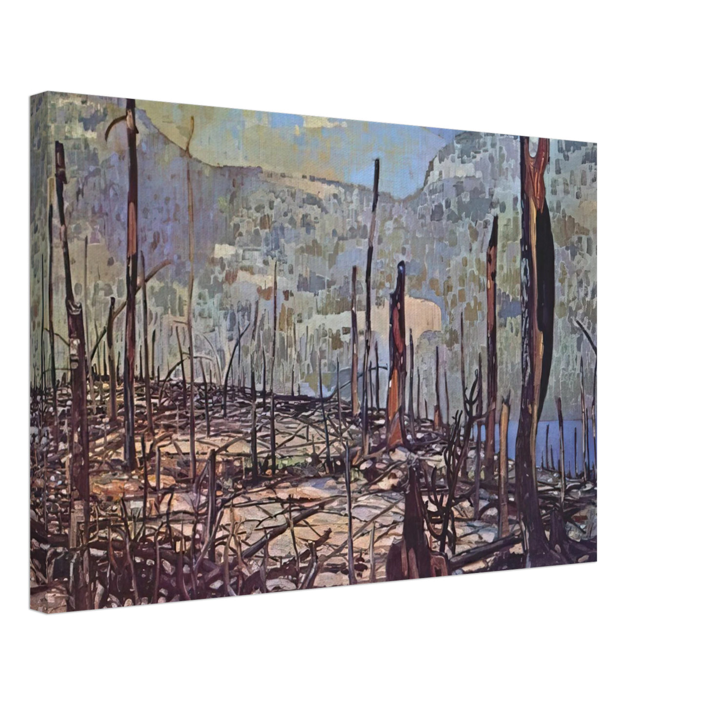 Frank Johnston - Fire Swept Algoma - 1920 Canvas - 40x60 cm / 16x24 inches-canvas