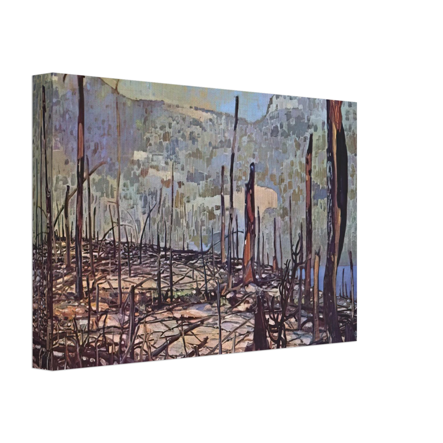 Frank Johnston - Fire Swept Algoma - 1920 Canvas - 70x100 cm / 28x40 inches-canvas