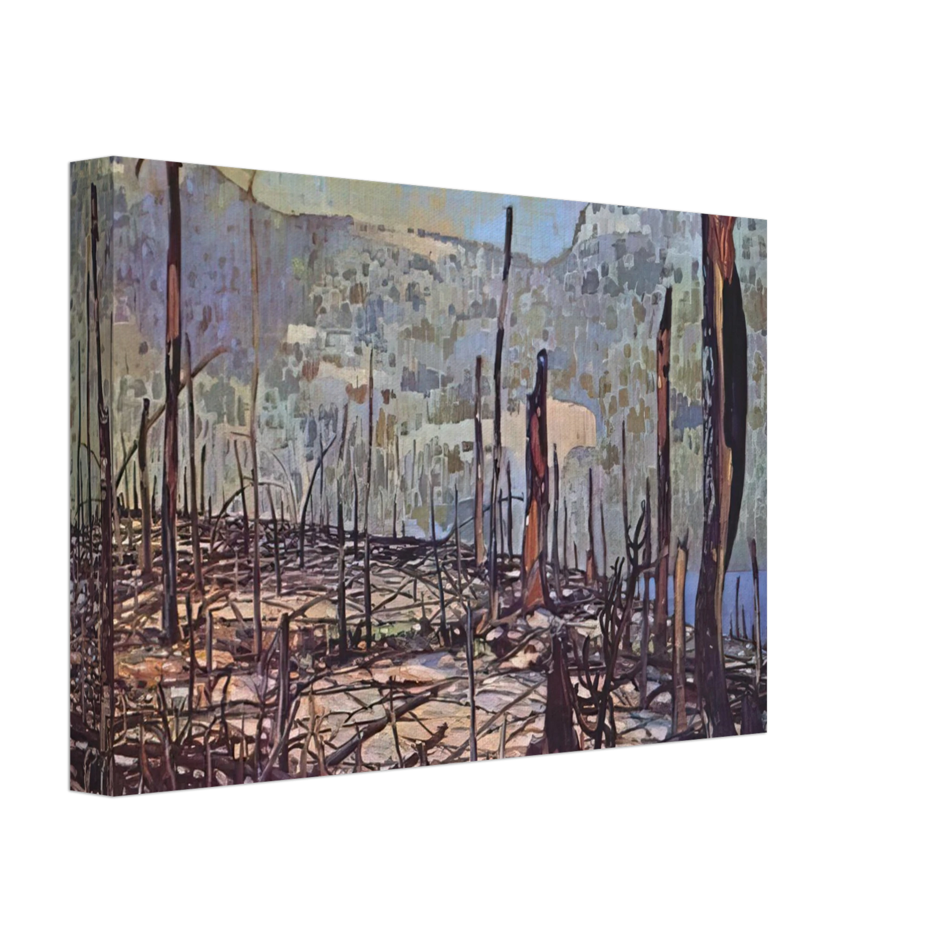 Frank Johnston - Fire Swept Algoma - 1920 Canvas - 70x100 cm / 28x40 inches-canvas