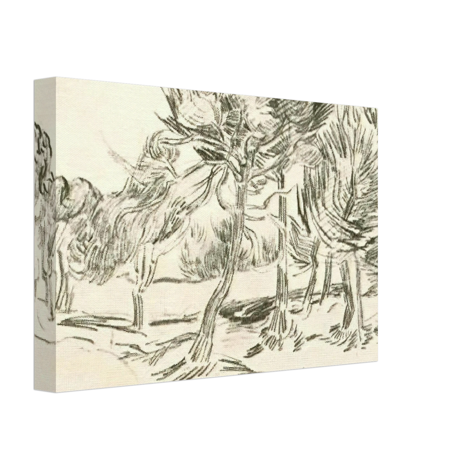 Vincent van Gogh - A Group of Pine Trees Canvas - 40x60 cm / 16x24 inches-canvas