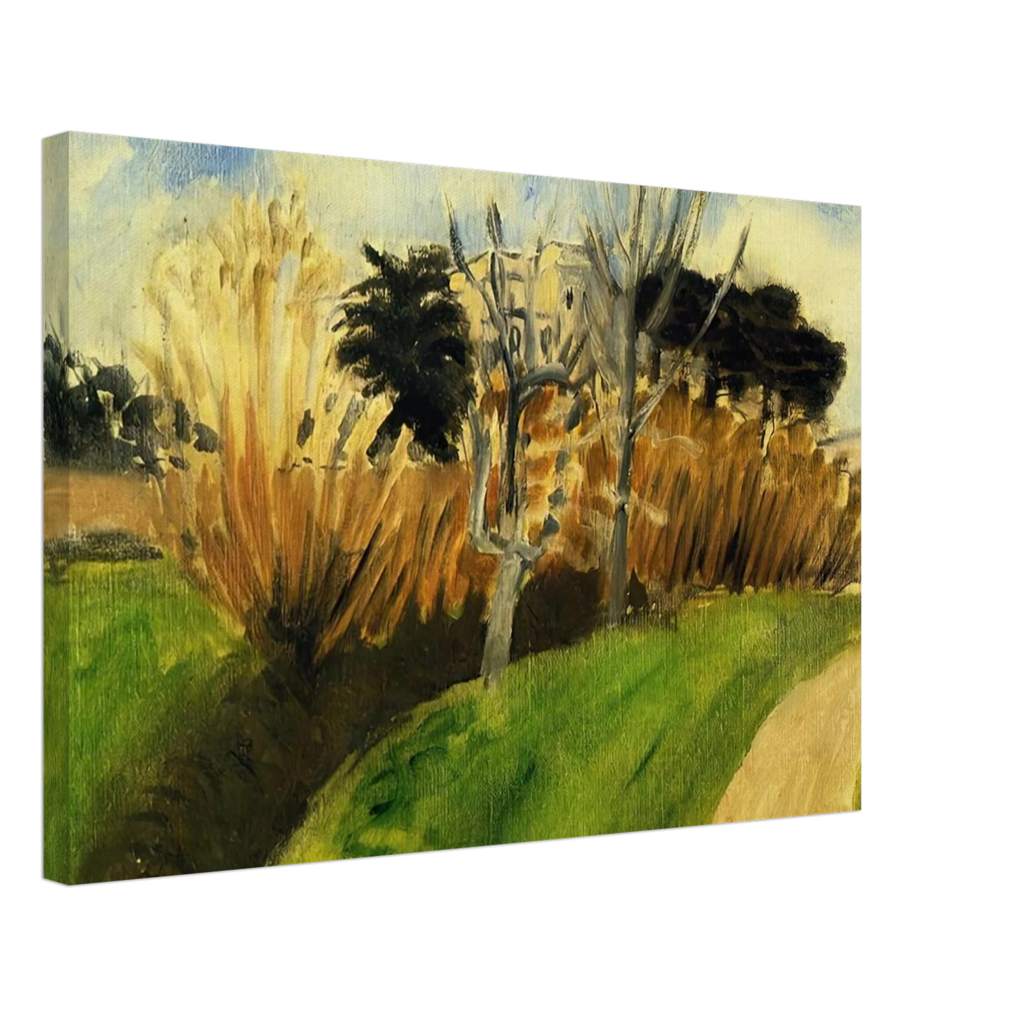 Henri Matisse - THE STREAM NEAR NICE Canvas - 40x60 cm / 16x24 inches-canvas