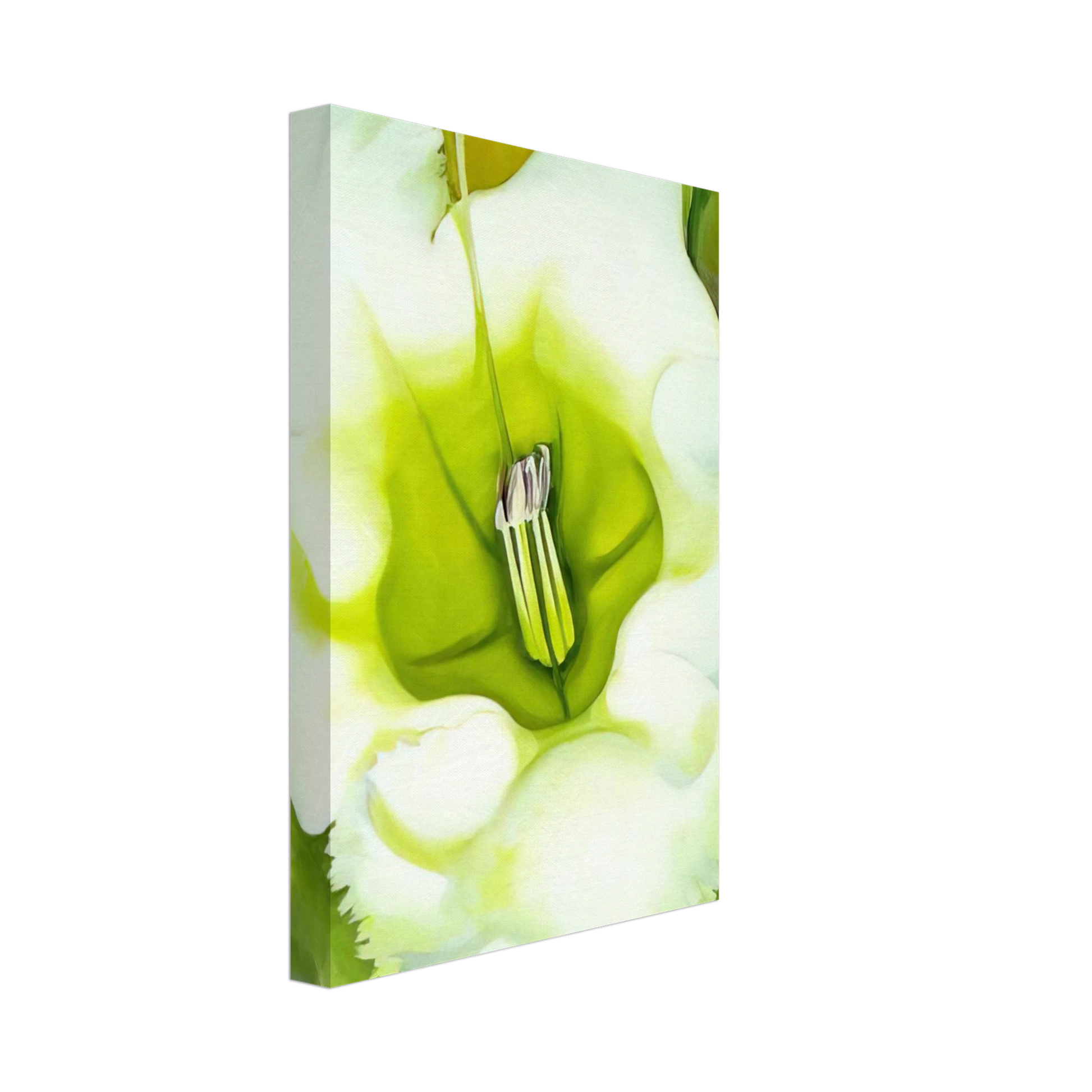 Georgia O'Keeffe - Cup Of Silver Ginger Canvas - 40x60 cm / 16x24 inches-canvas