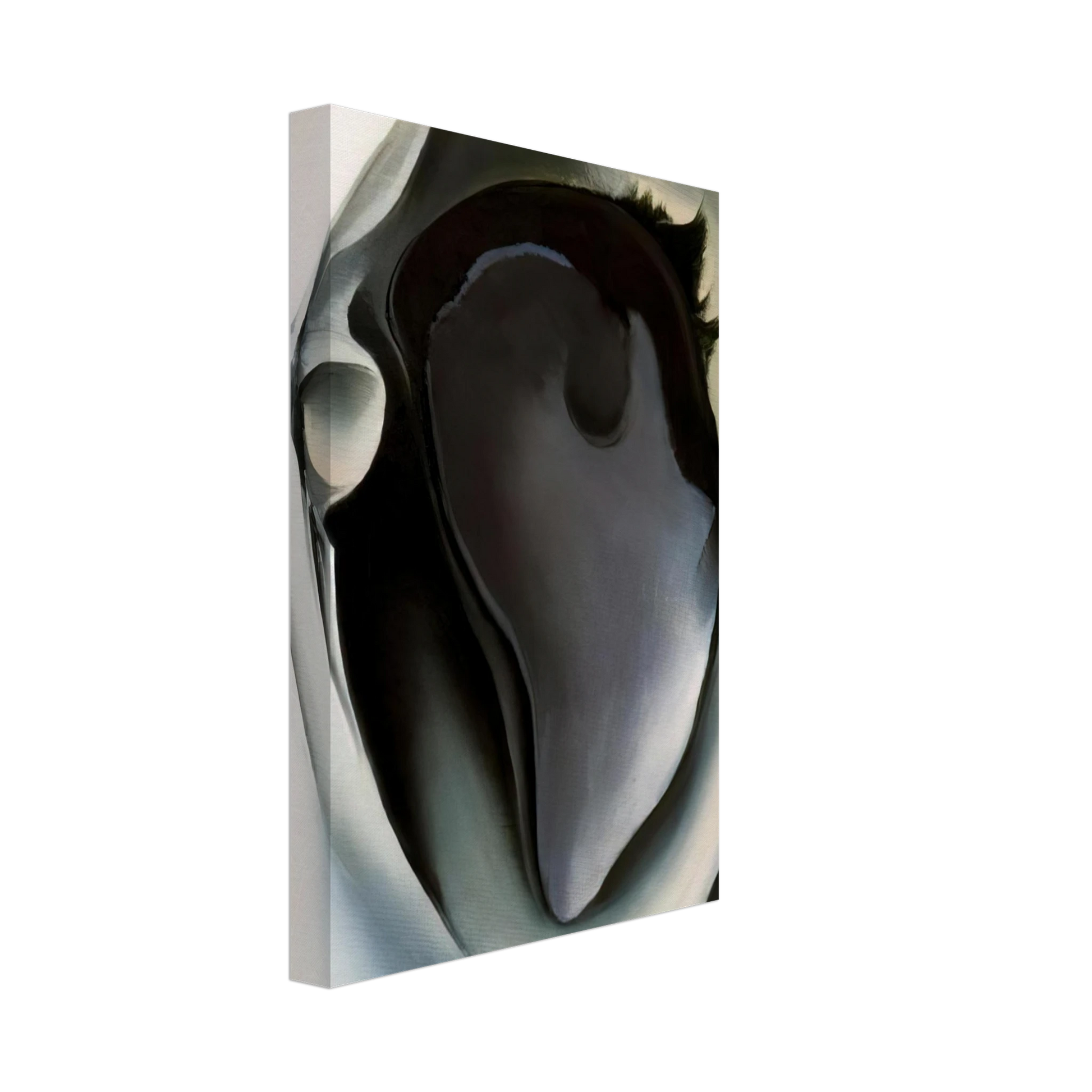 Georgia O'Keeffe - Clam and mussel Canvas - 40x60 cm / 16x24 inches-canvas