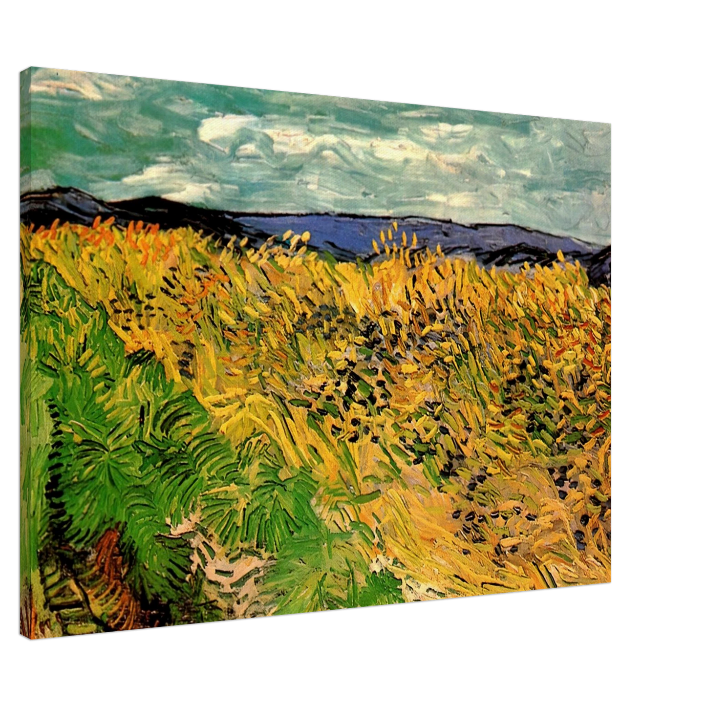 Vincent van Gogh - Wheat Field with Cornflowers Canvas - 20x30 cm / 8x12 inches-canvas
