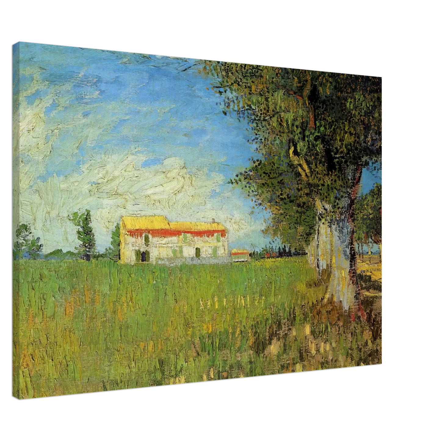 Vincent van Gogh - Farmhouse in a Wheat Field Canvas - 20x30 cm / 8x12 inches-canvas