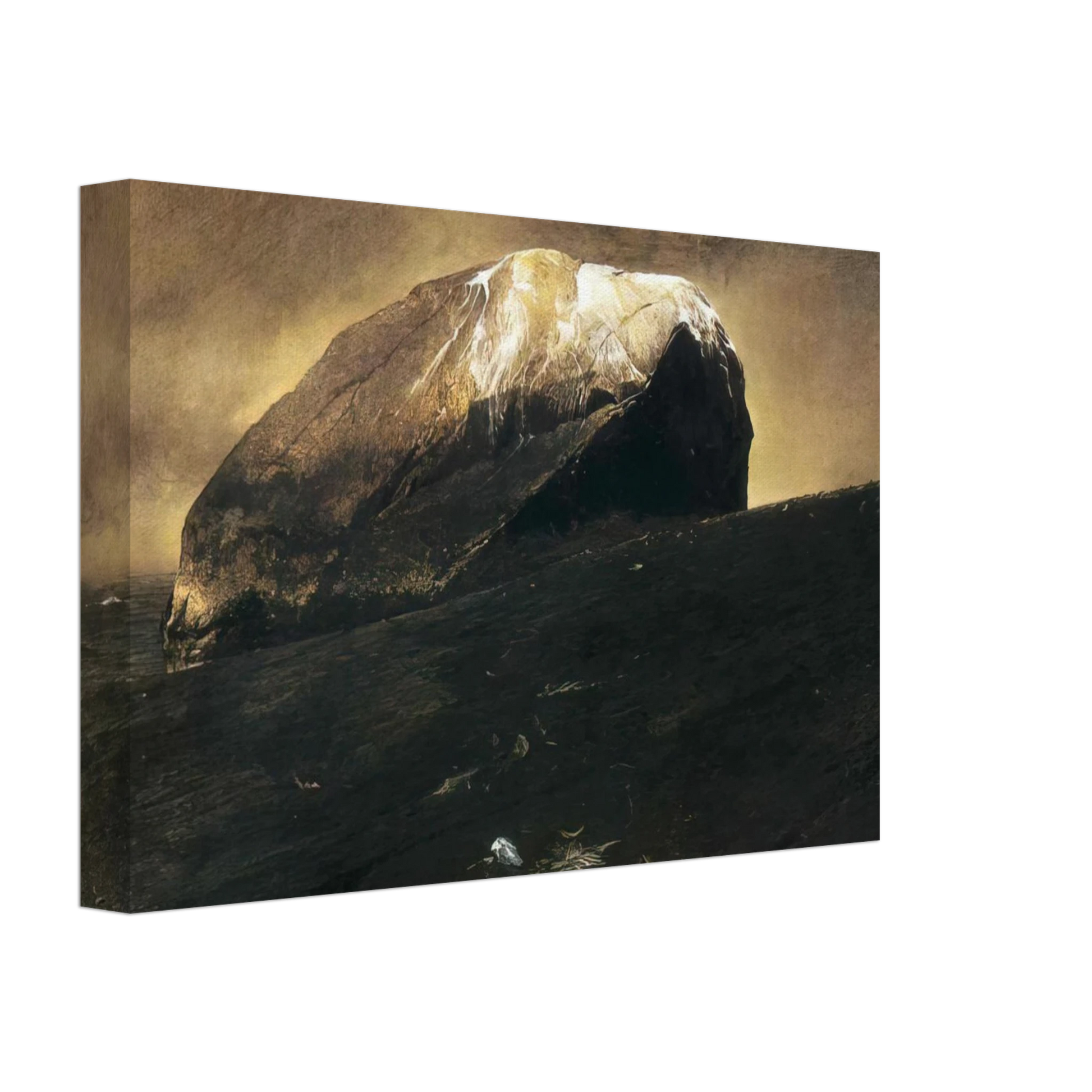 Andrew Wyeth - NOT DETECTED 42 Canvas - 70x100 cm / 28x40 inches-canvas