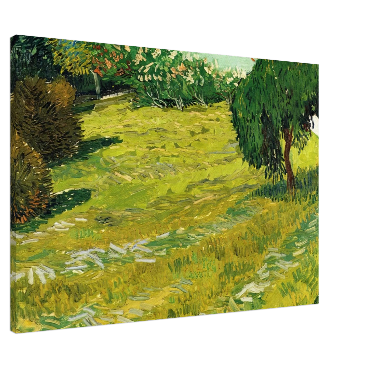 Vincent van Gogh - Garden with Weeping Willow Canvas - 20x30 cm / 8x12 inches-canvas