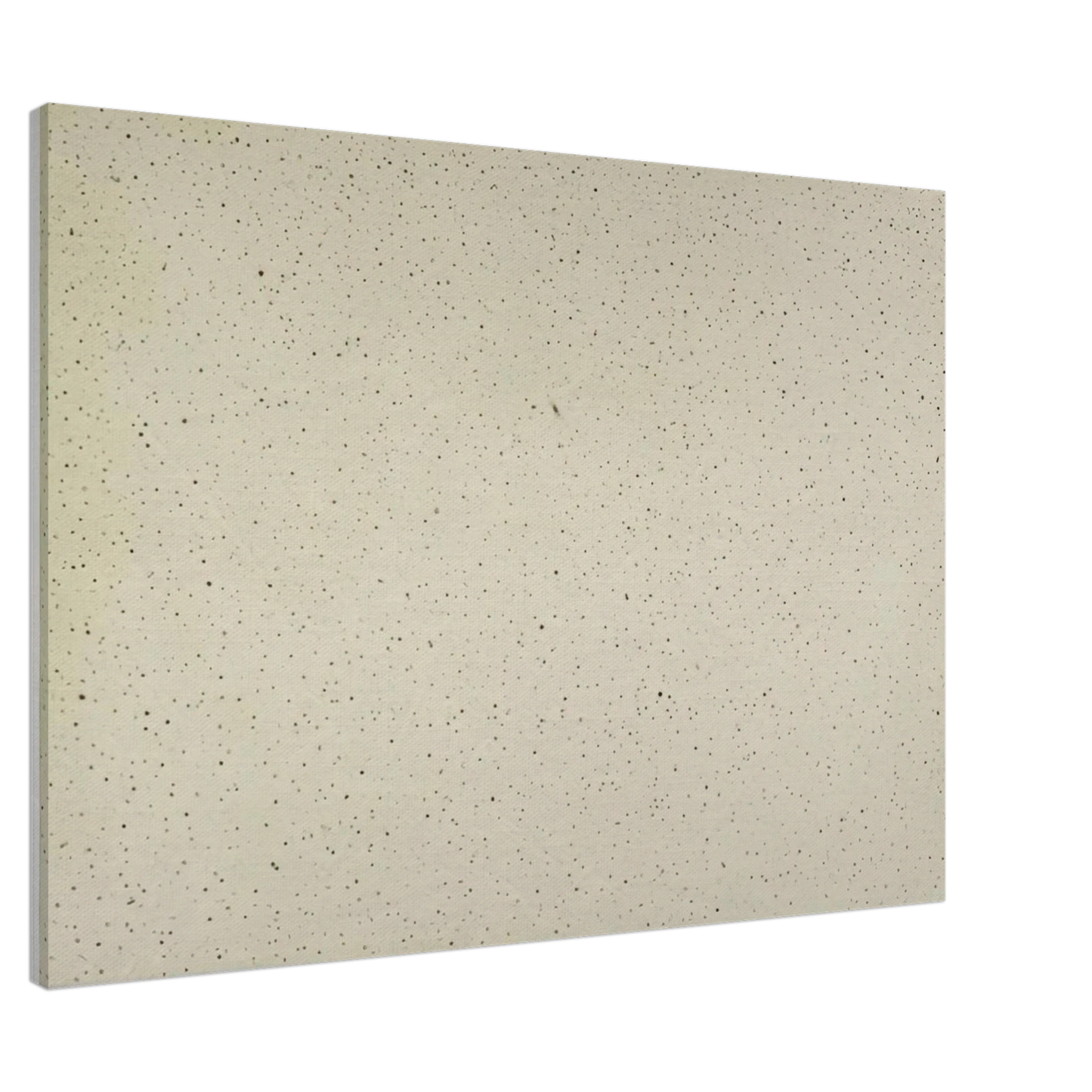 Vija Celmins - NIGHT SKY 2 REVERSED 2002 Canvas - 20x30 cm / 8x12 inches-canvas