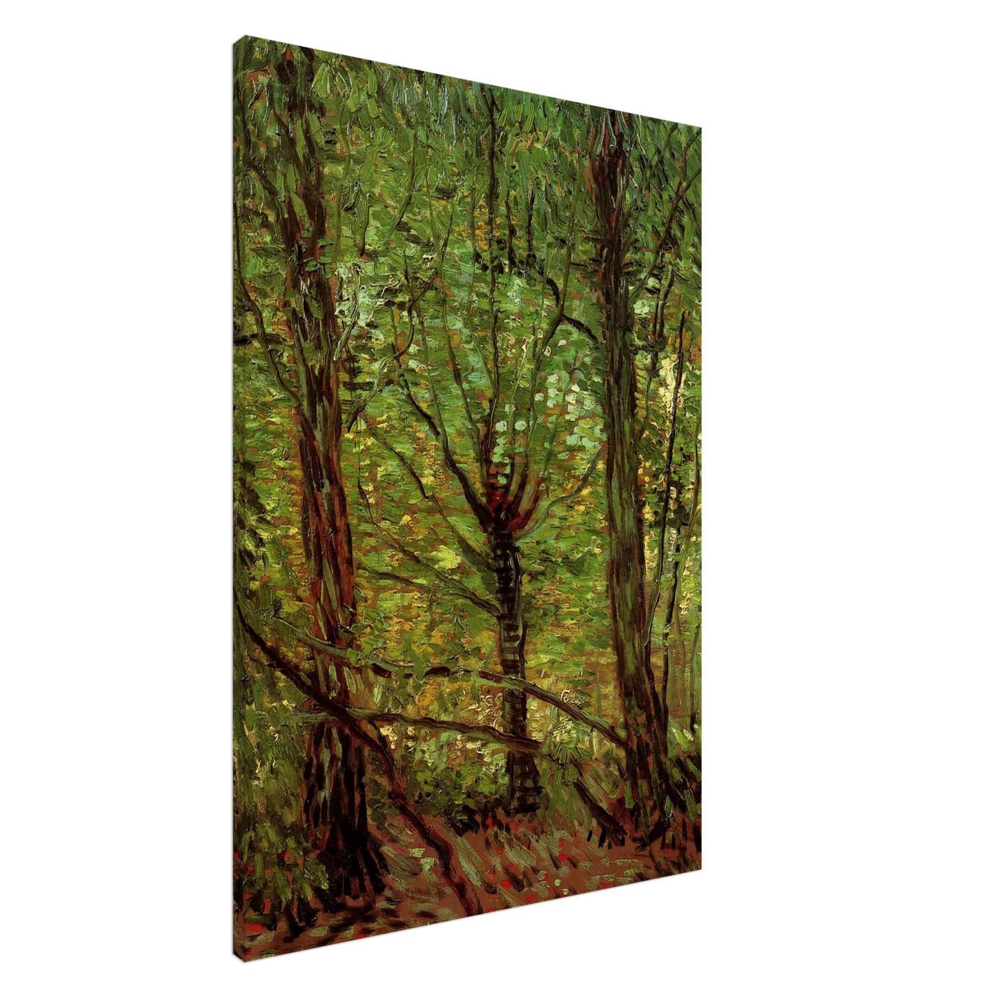 Vincent van Gogh - Trees and Undergrowth Canvas - 20x30 cm / 8x12 inches-canvas