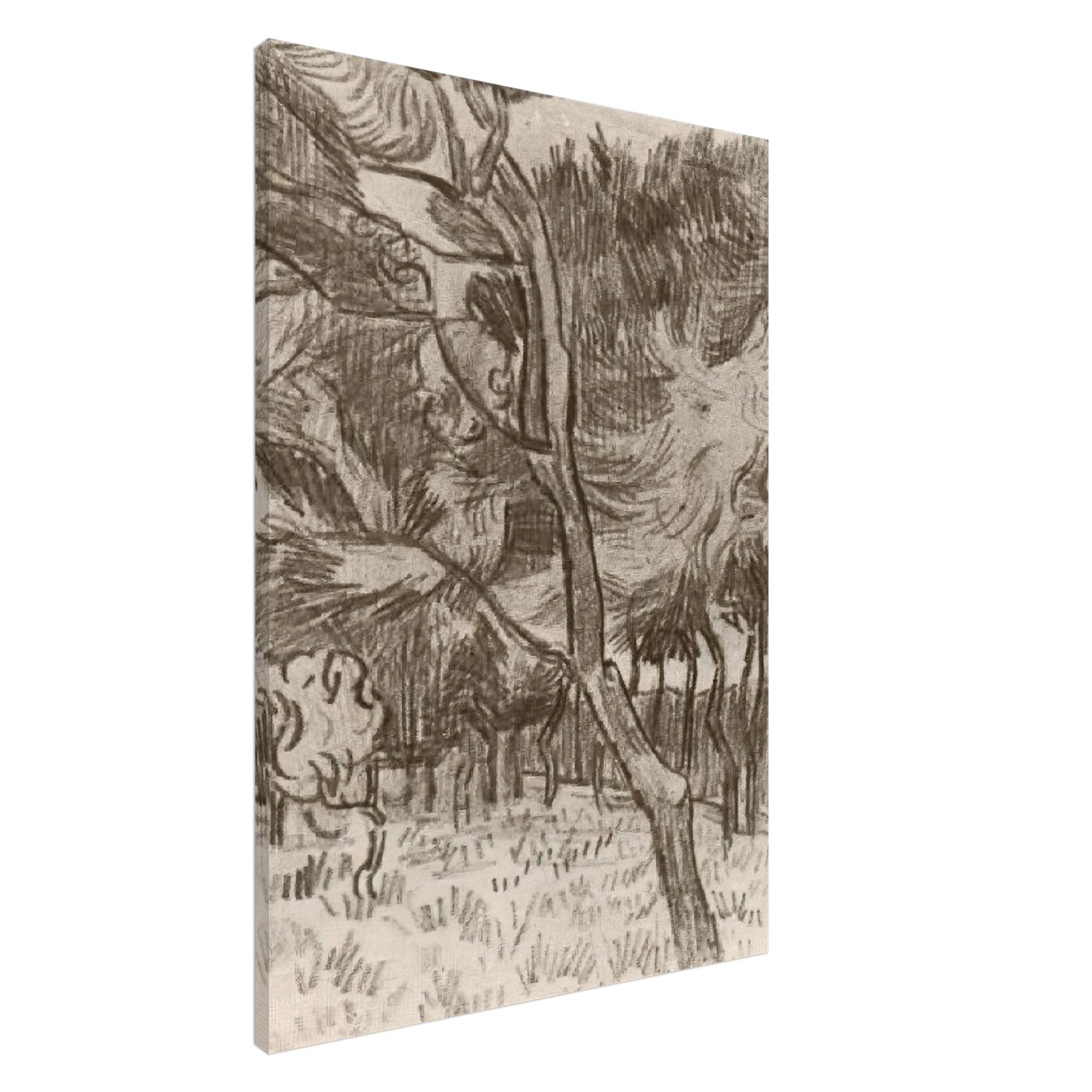 Vincent van Gogh - Pine Trees in the Garden of the Asylum Canvas - 20x30 cm / 8x12 inches-canvas