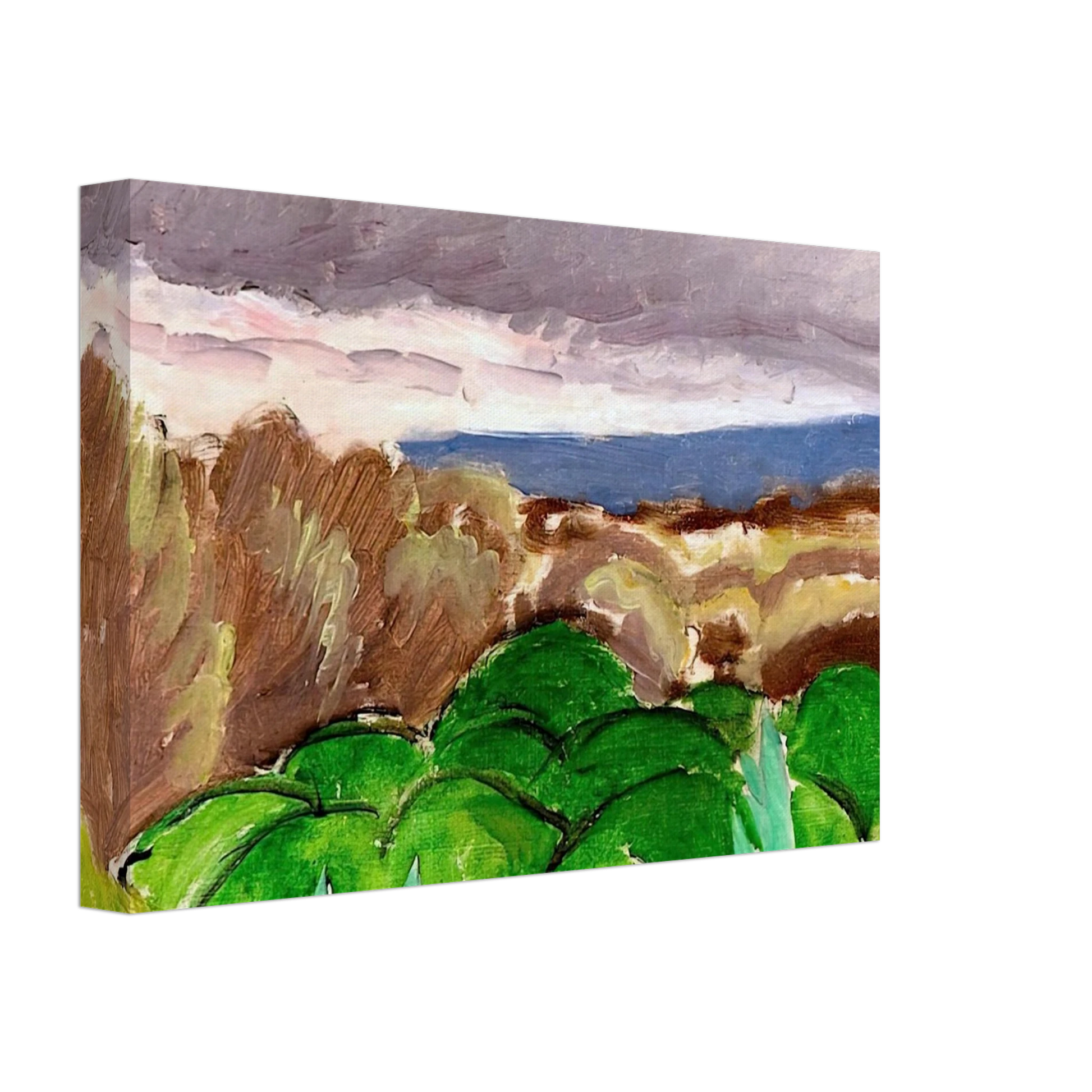 Henri Matisse - CAGNES LANDSCAPE IN STORMY WEATHER 1917 Canvas - 70x100 cm / 28x40 inches-canvas