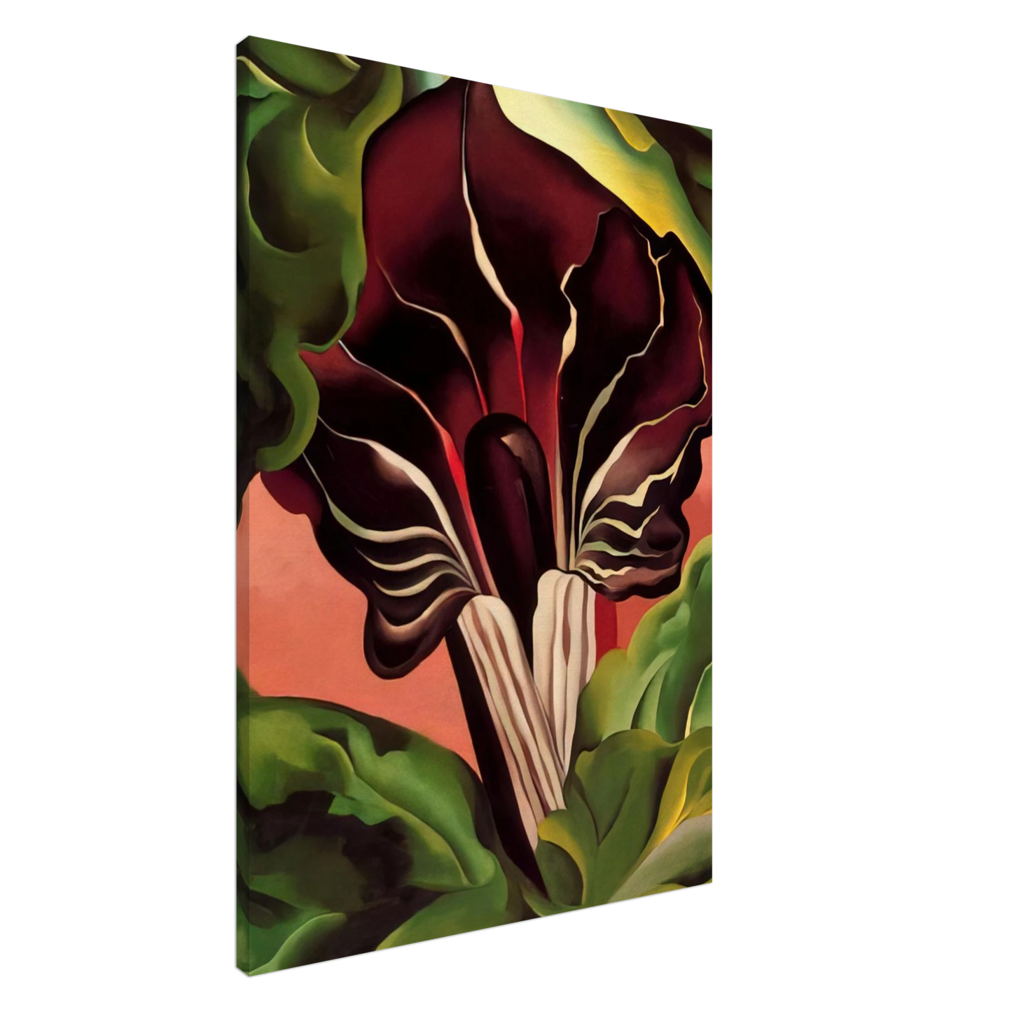 Georgia O'Keeffe - Jack-in-the-Pulpit II Canvas - 20x30 cm / 8x12 inches-canvas