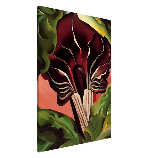 Georgia O'Keeffe - Jack-in-the-Pulpit II Canvas - 20x30 cm / 8x12 inches-canvas