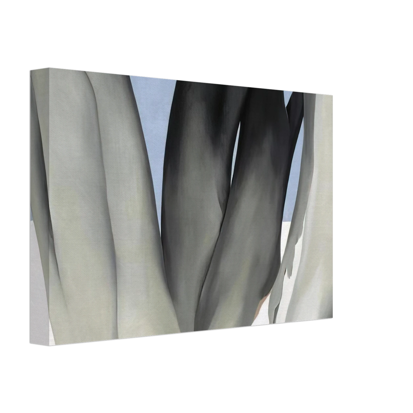 Georgia O'Keeffe - Bare Tree Trunks with Snow Canvas - 40x60 cm / 16x24 inches-canvas