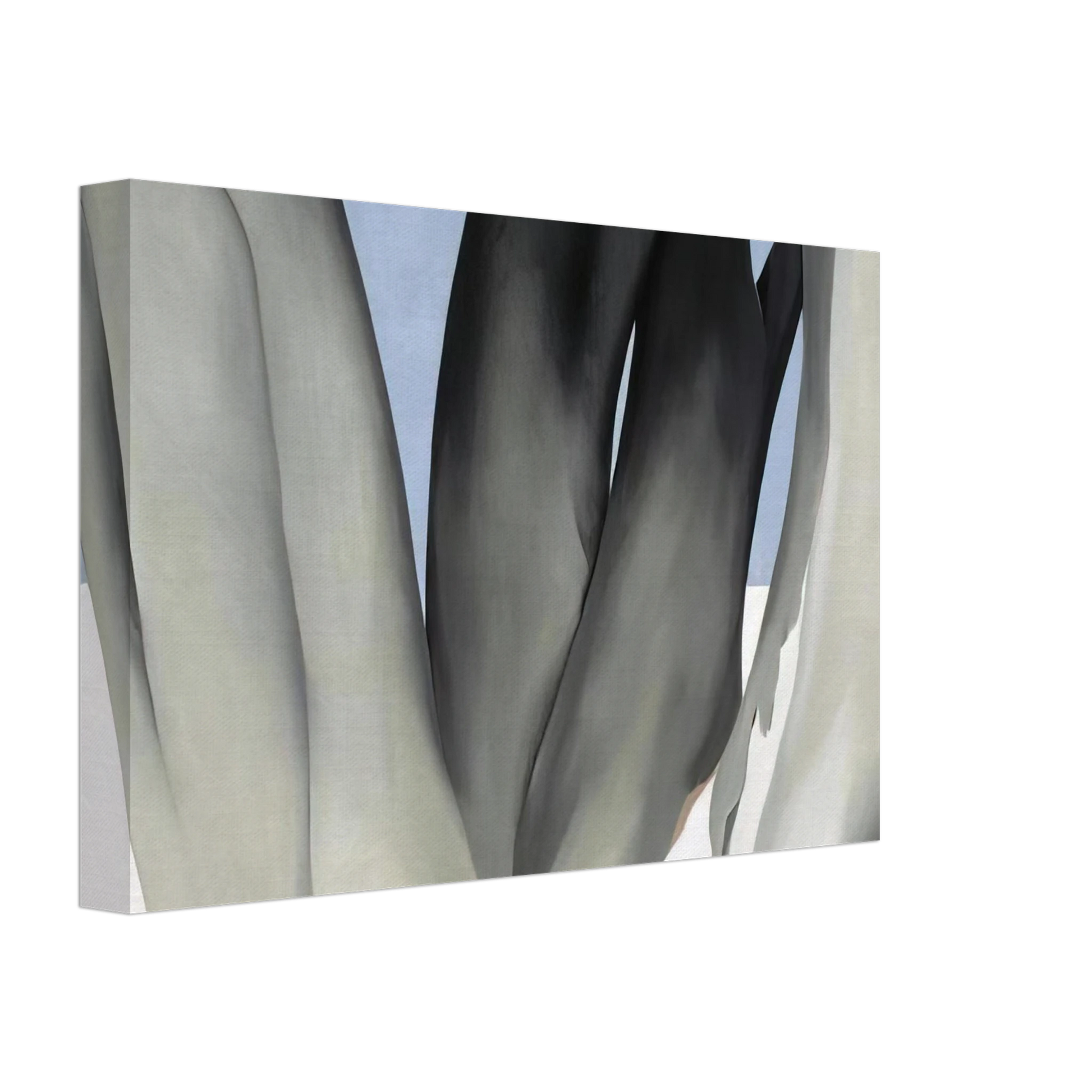 Georgia O'Keeffe - Bare Tree Trunks with Snow Canvas - 40x60 cm / 16x24 inches-canvas